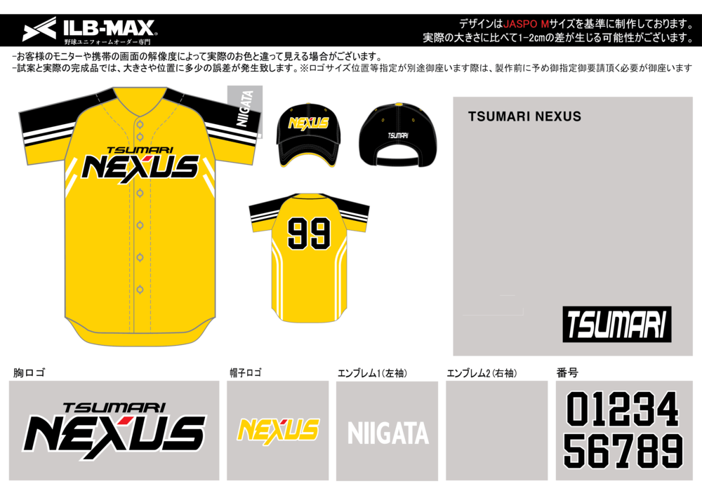 野球 ユニフォーム デザイン