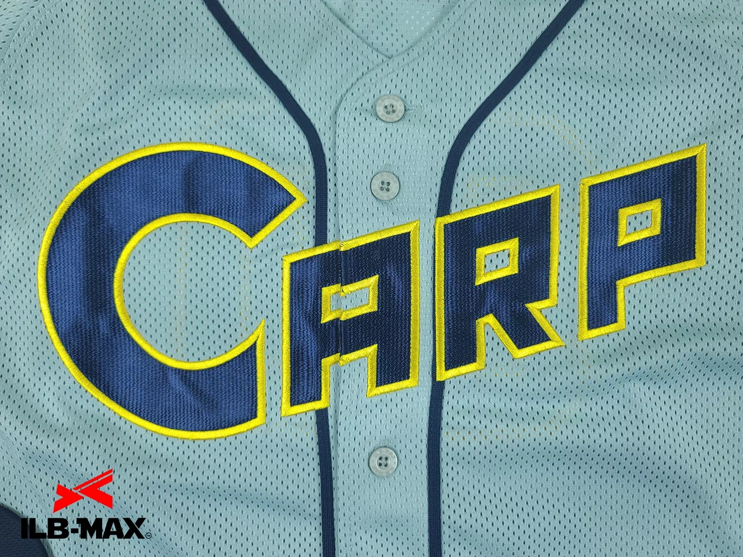 2212_NISHIMOTO CARP1