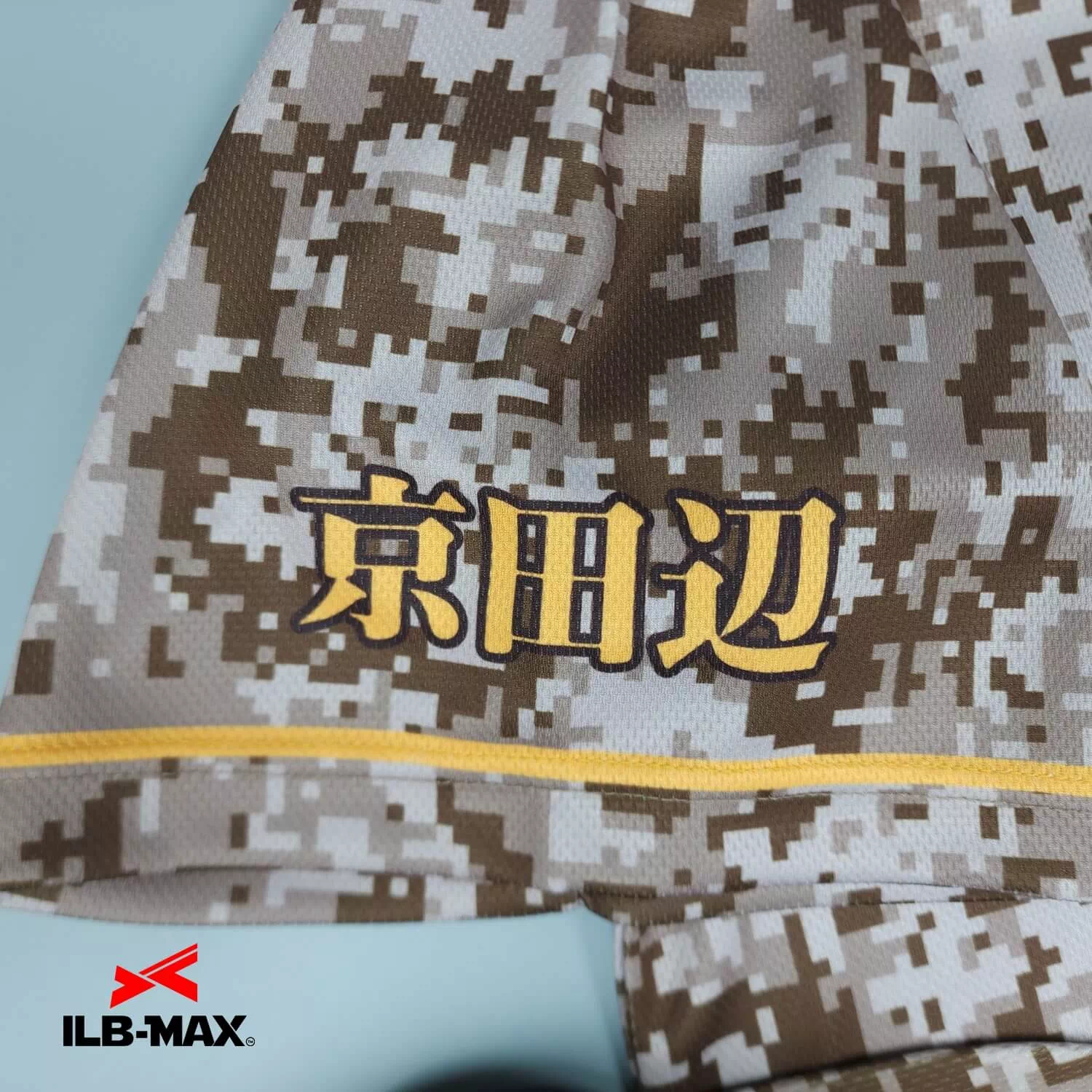 G_KYOTANABE1