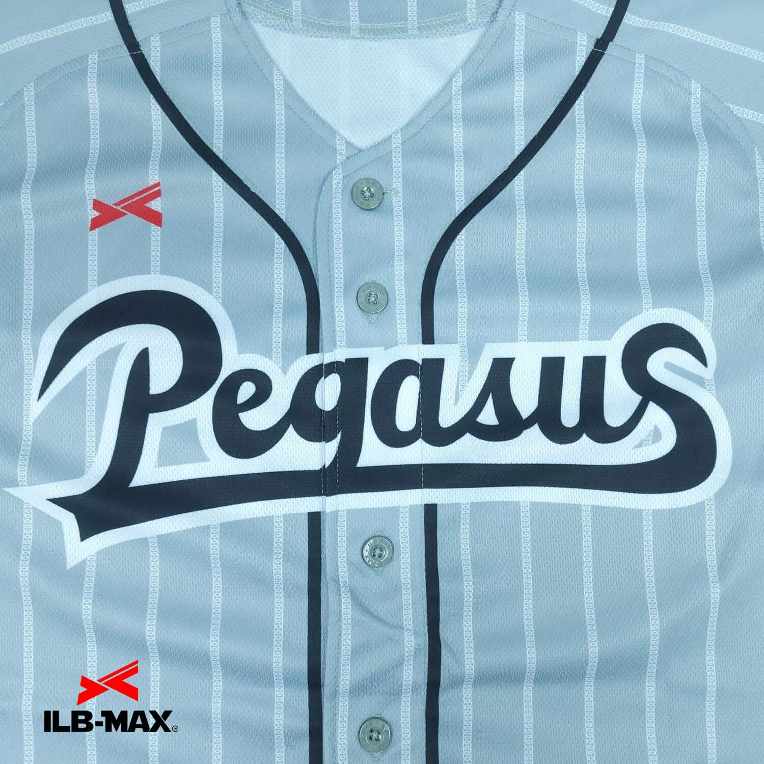 HIGASHIOGURA PEGASUS1
