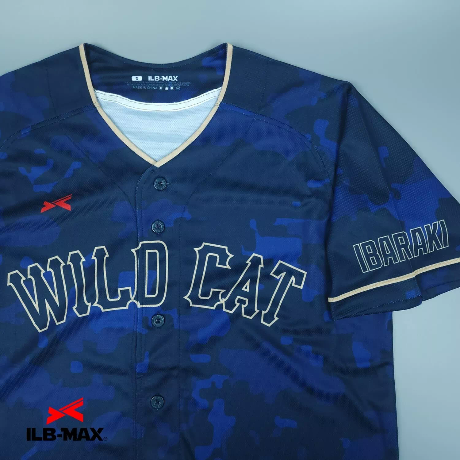 IBARAKI WILD CAT1