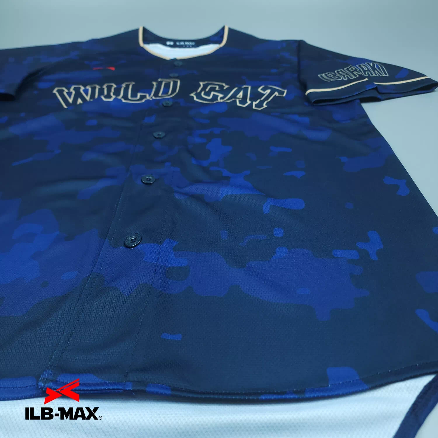 IBARAKI WILD CAT2