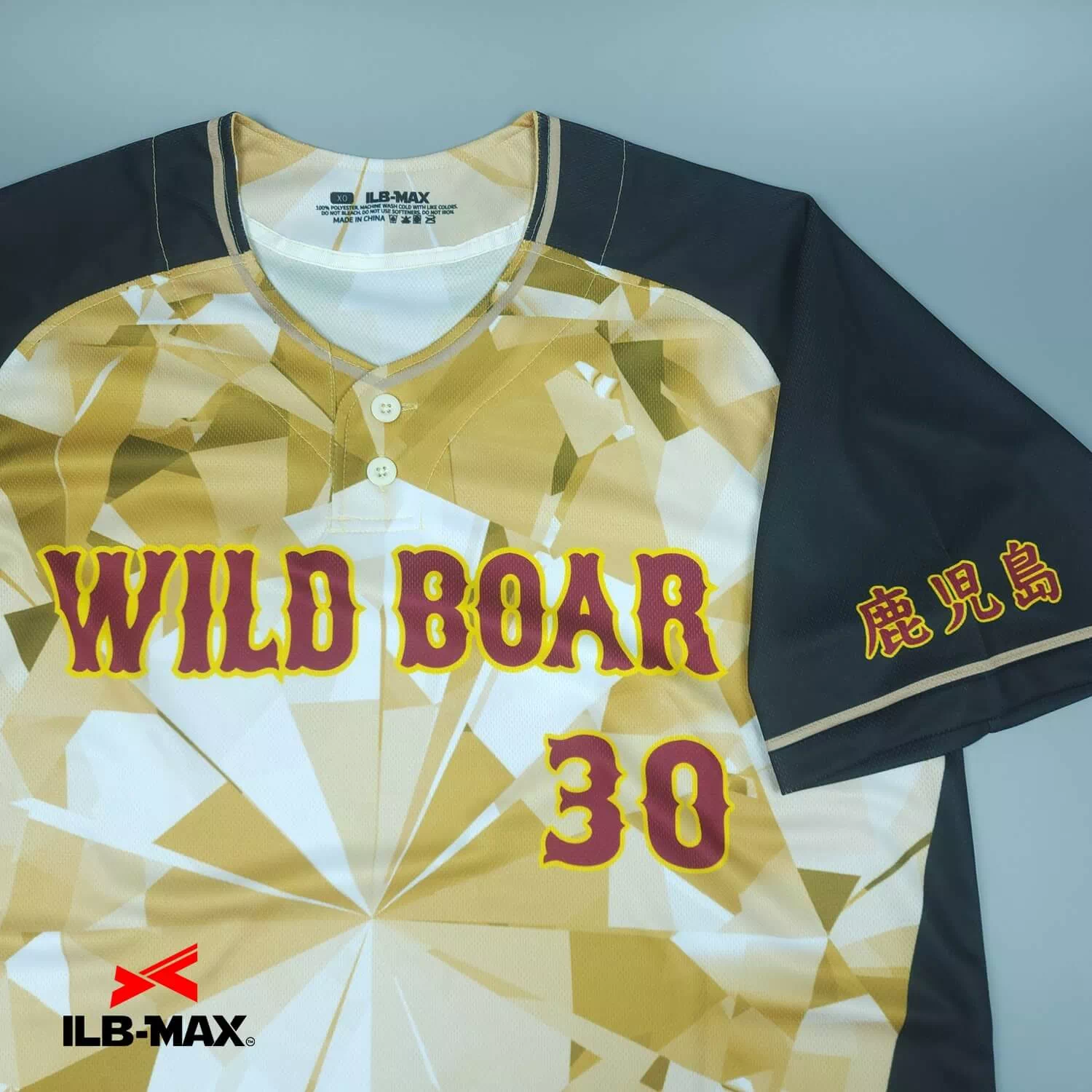 KAGOSHIMA WILD BOAR2
