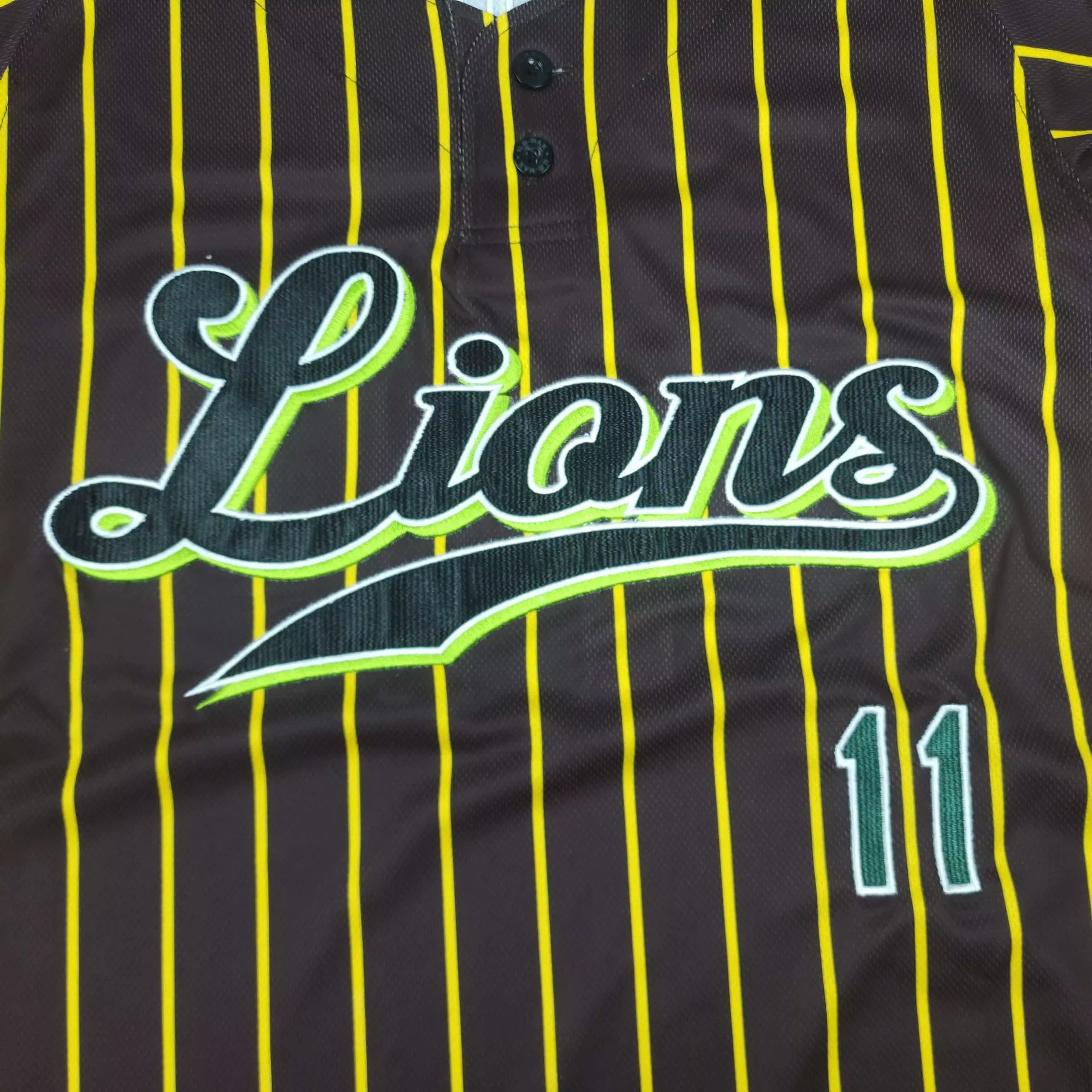 Nakayama Lions2