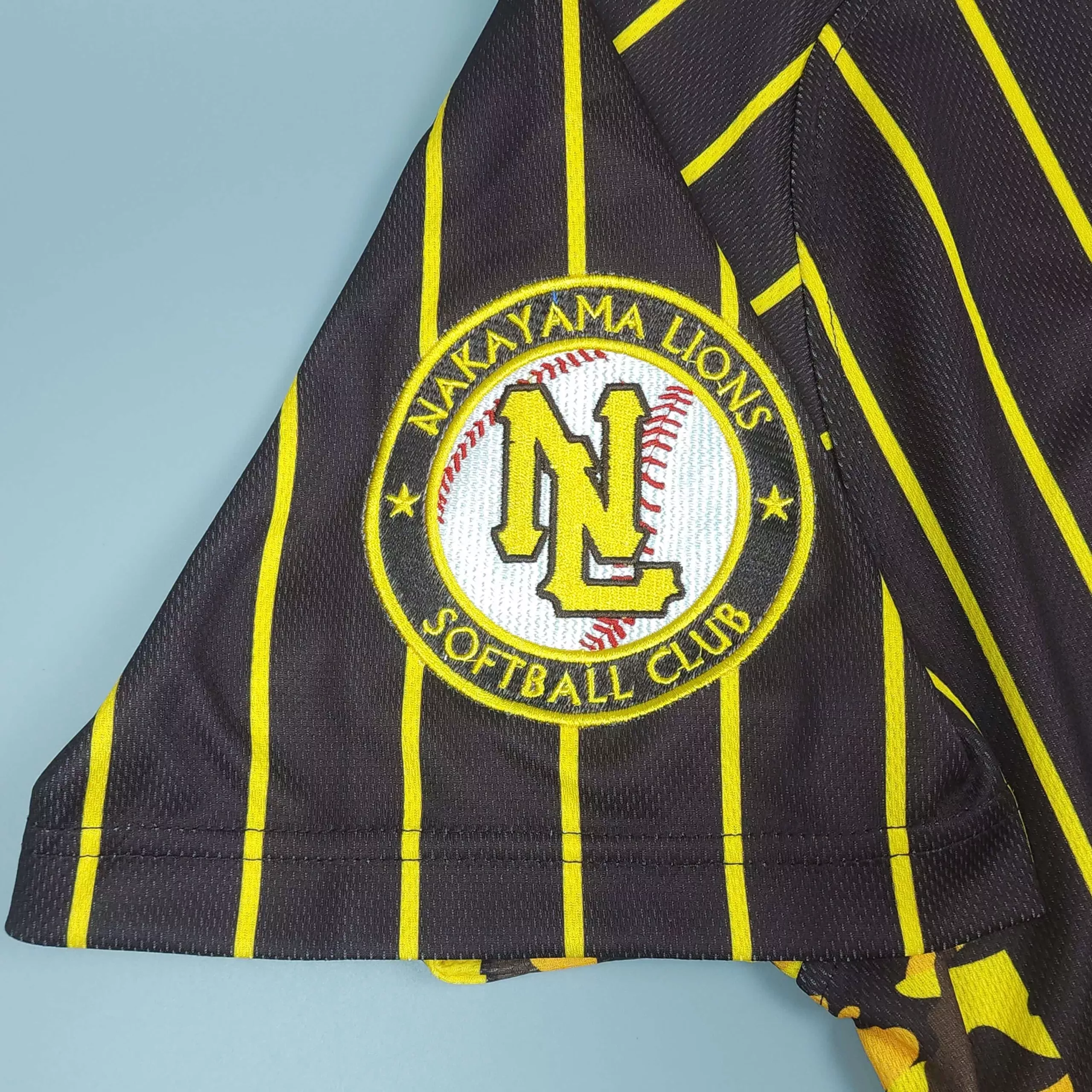 Nakayama Lions4