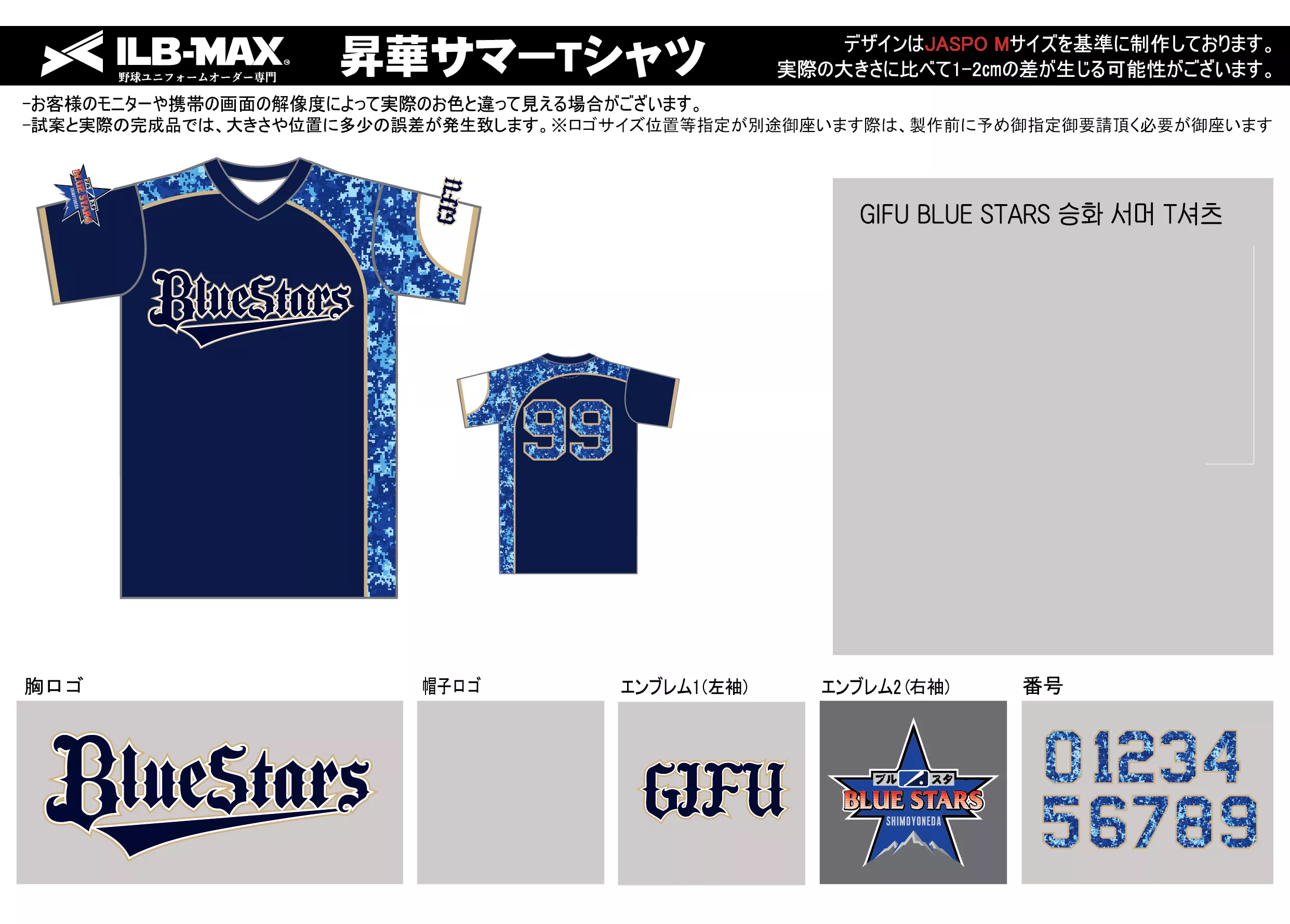 ilbmax GIFU BLUE STARS