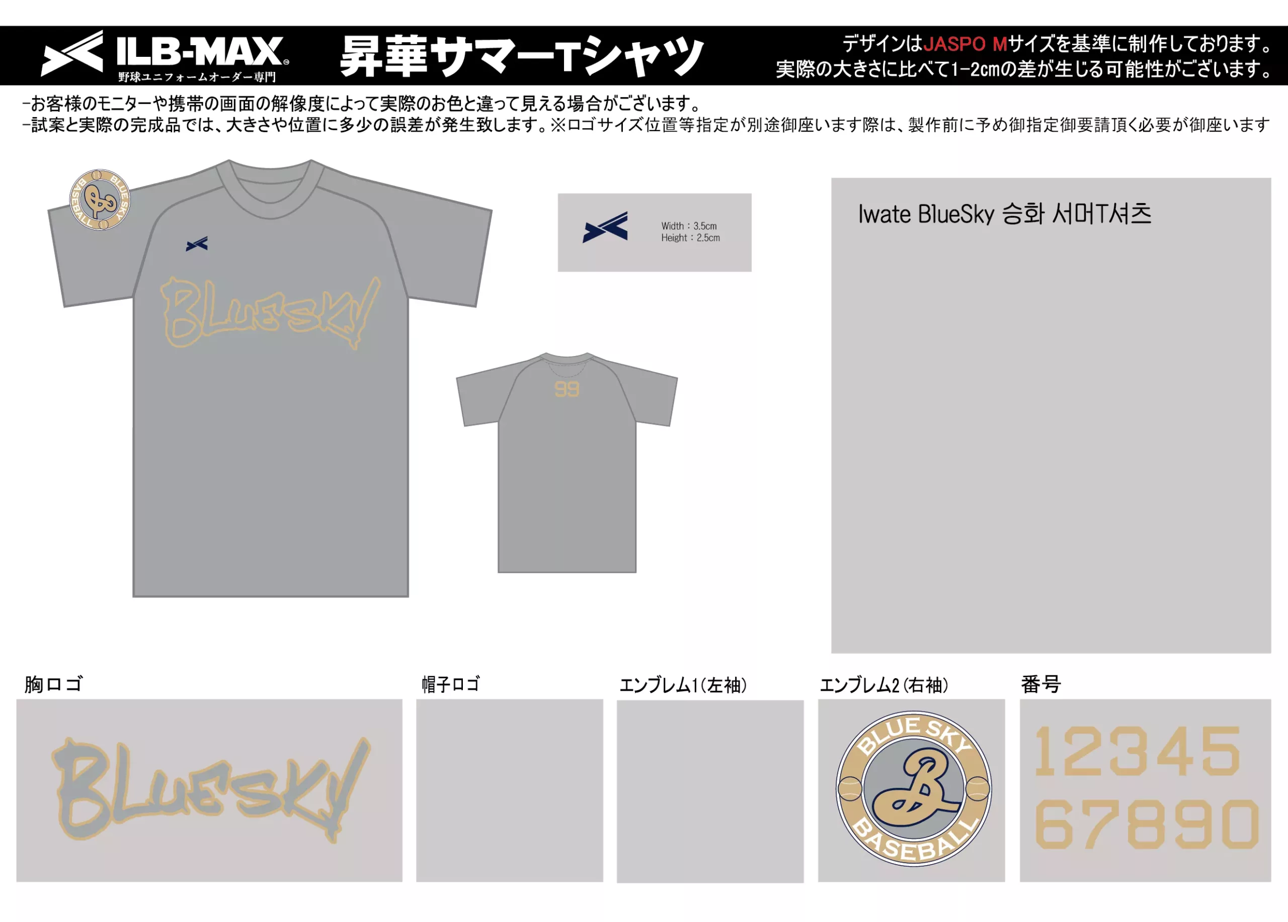 野球 ユニフォーム デザインIwate BlueSky