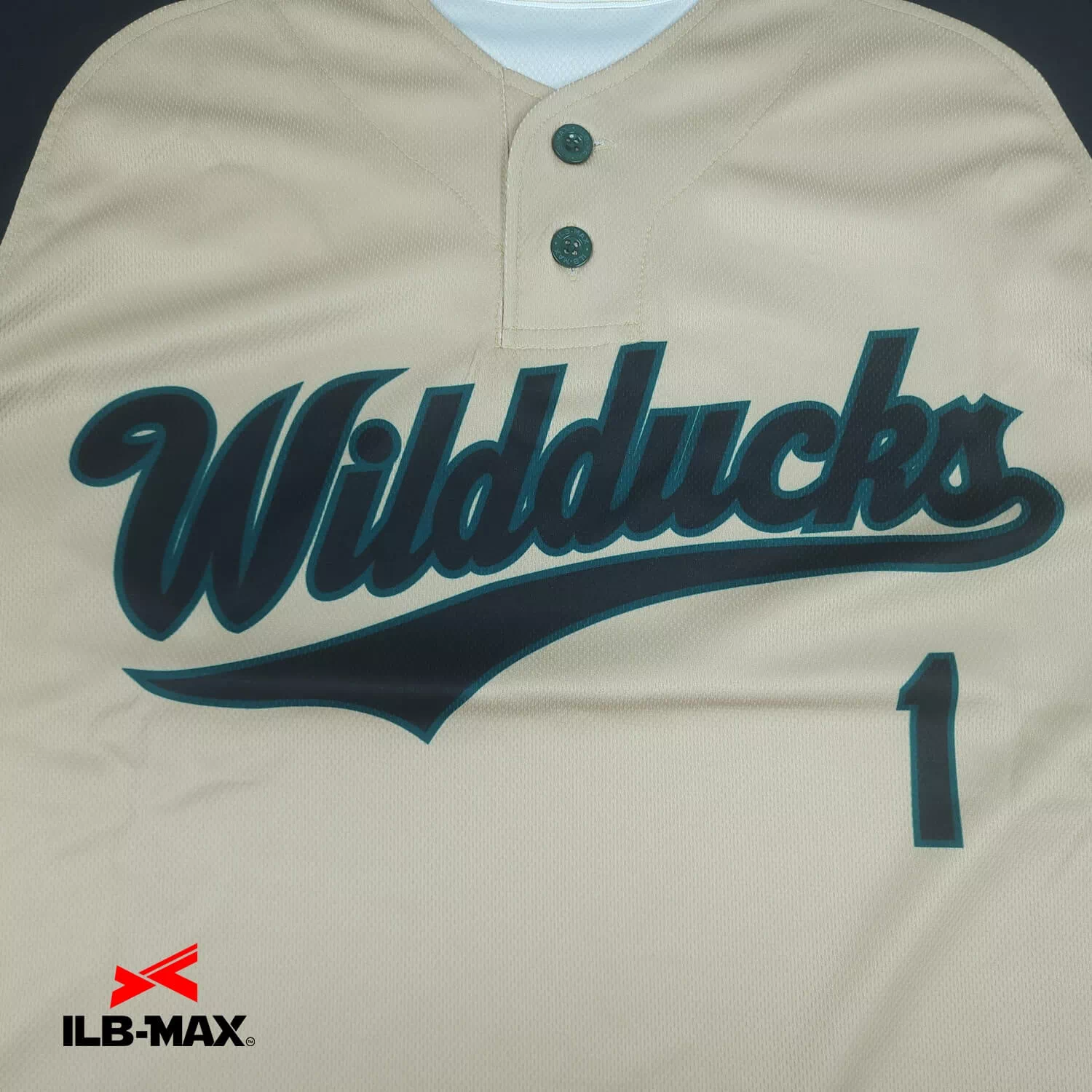 Akashi Wildducks1