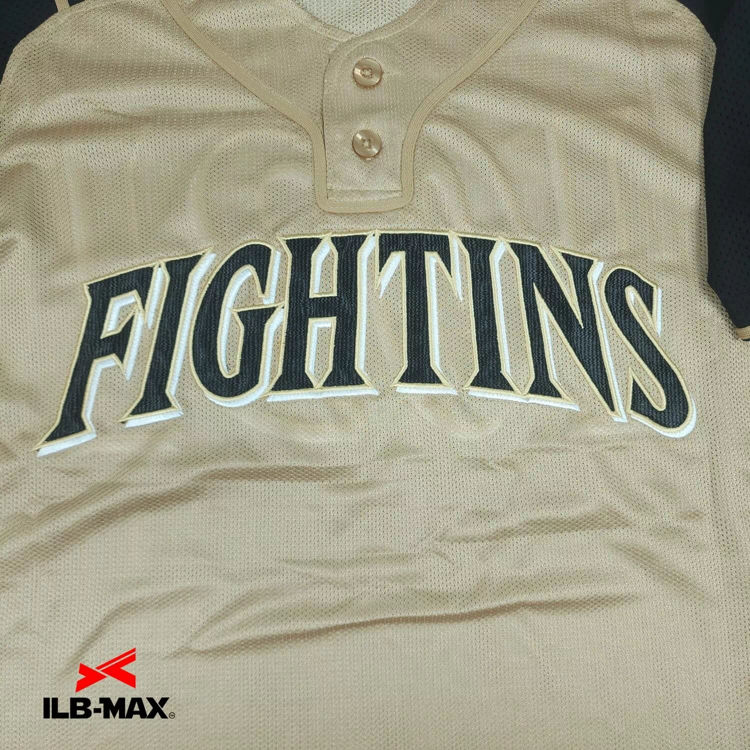 FIGHTINS1
