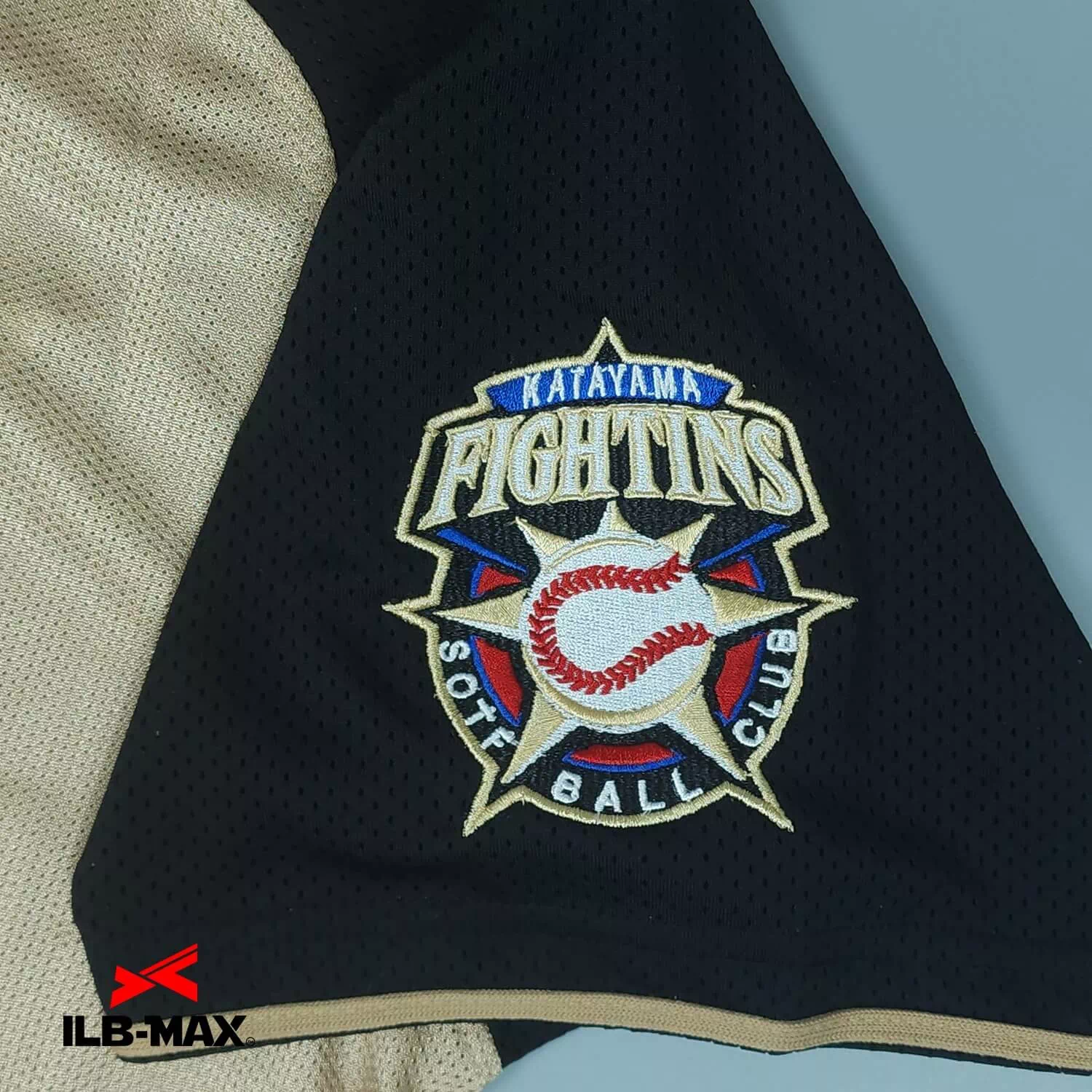 FIGHTINS2
