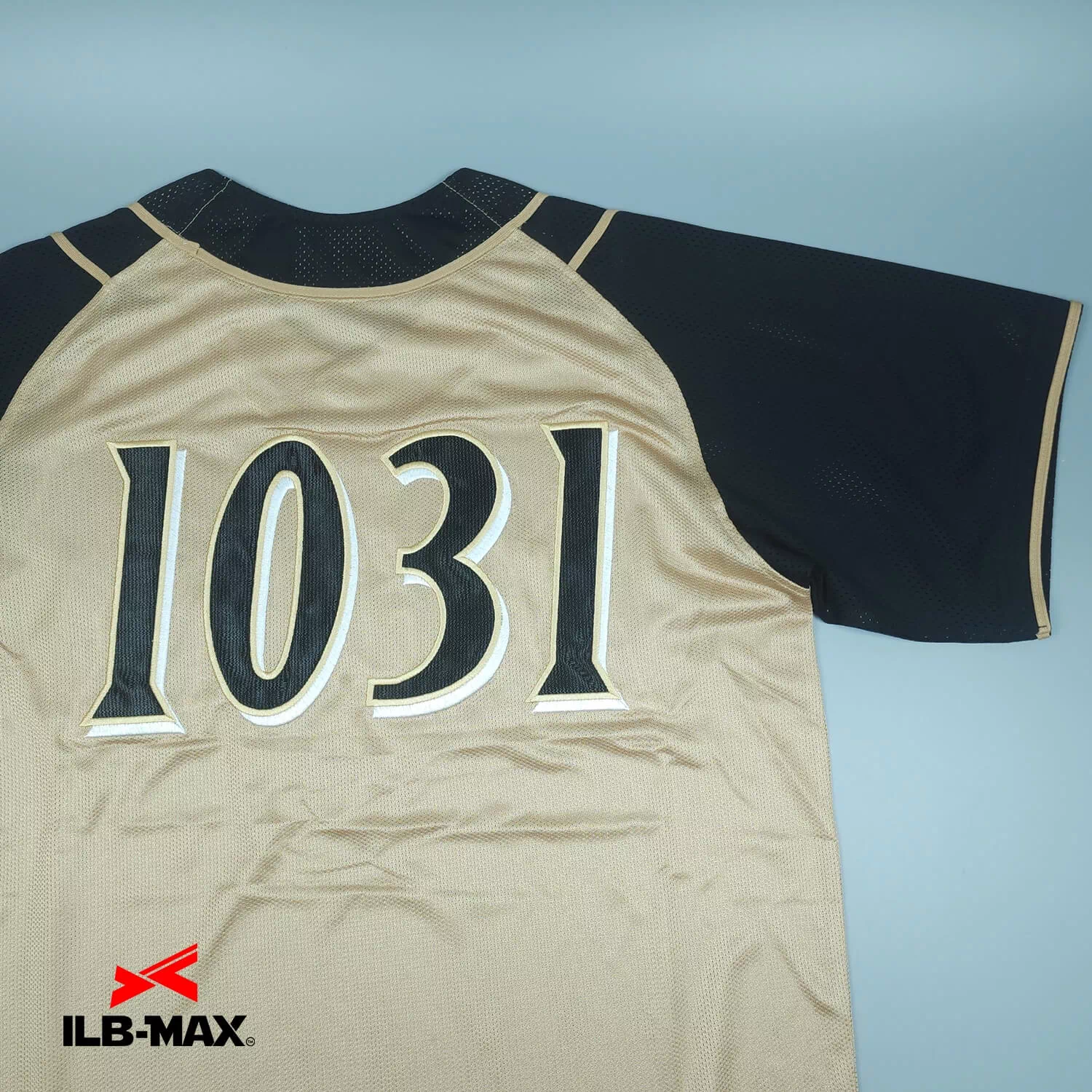 FIGHTINS3