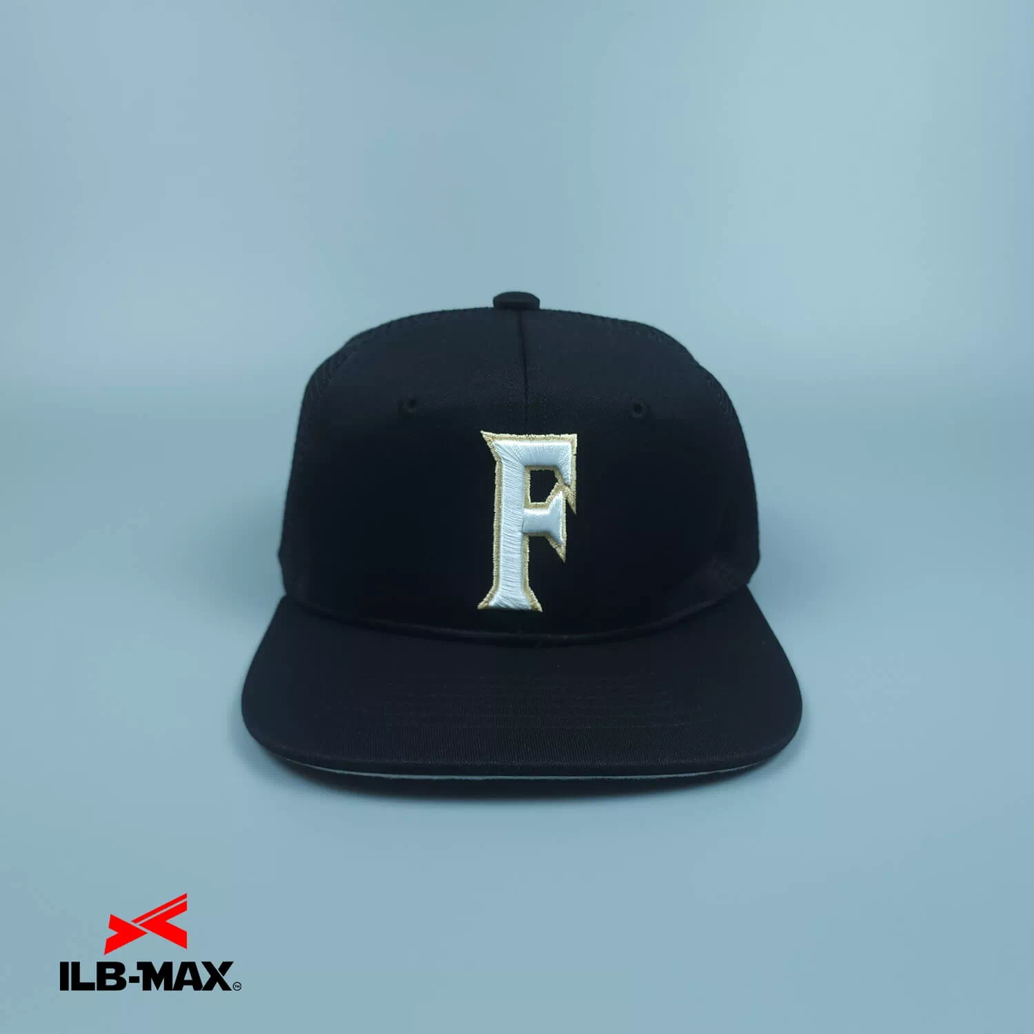 FIGHTINS4