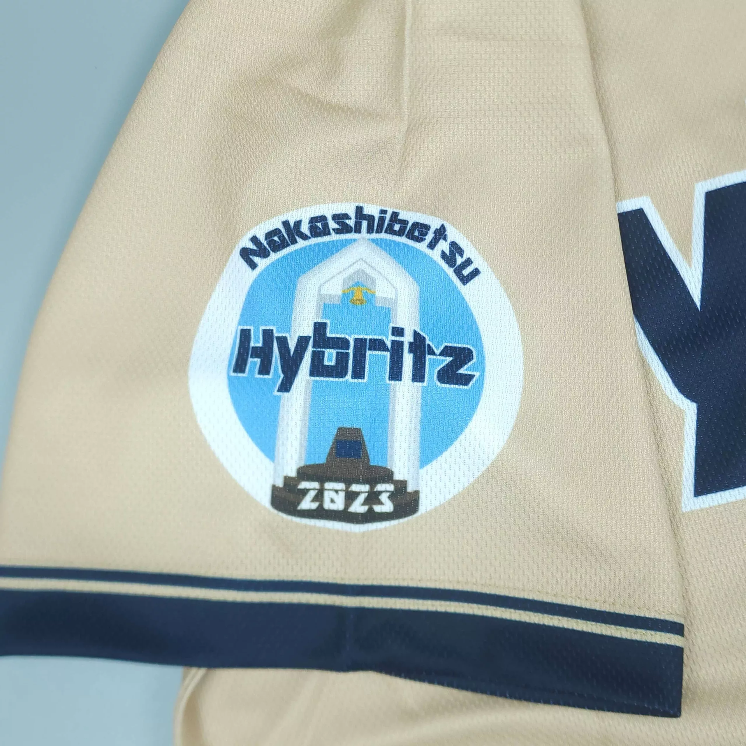 Hybritz2