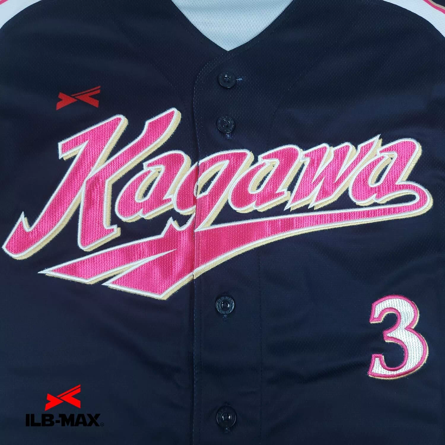 Kagawa1