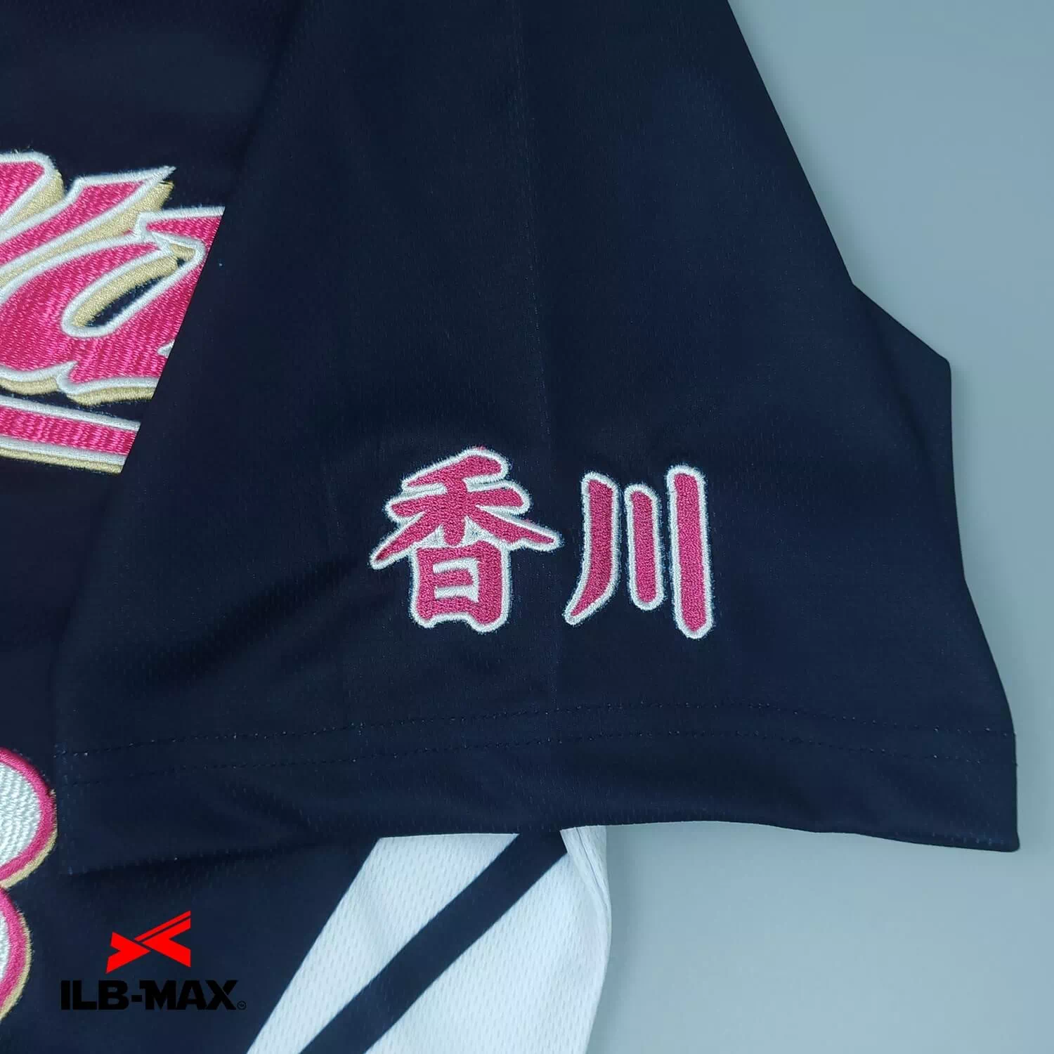 Kagawa2