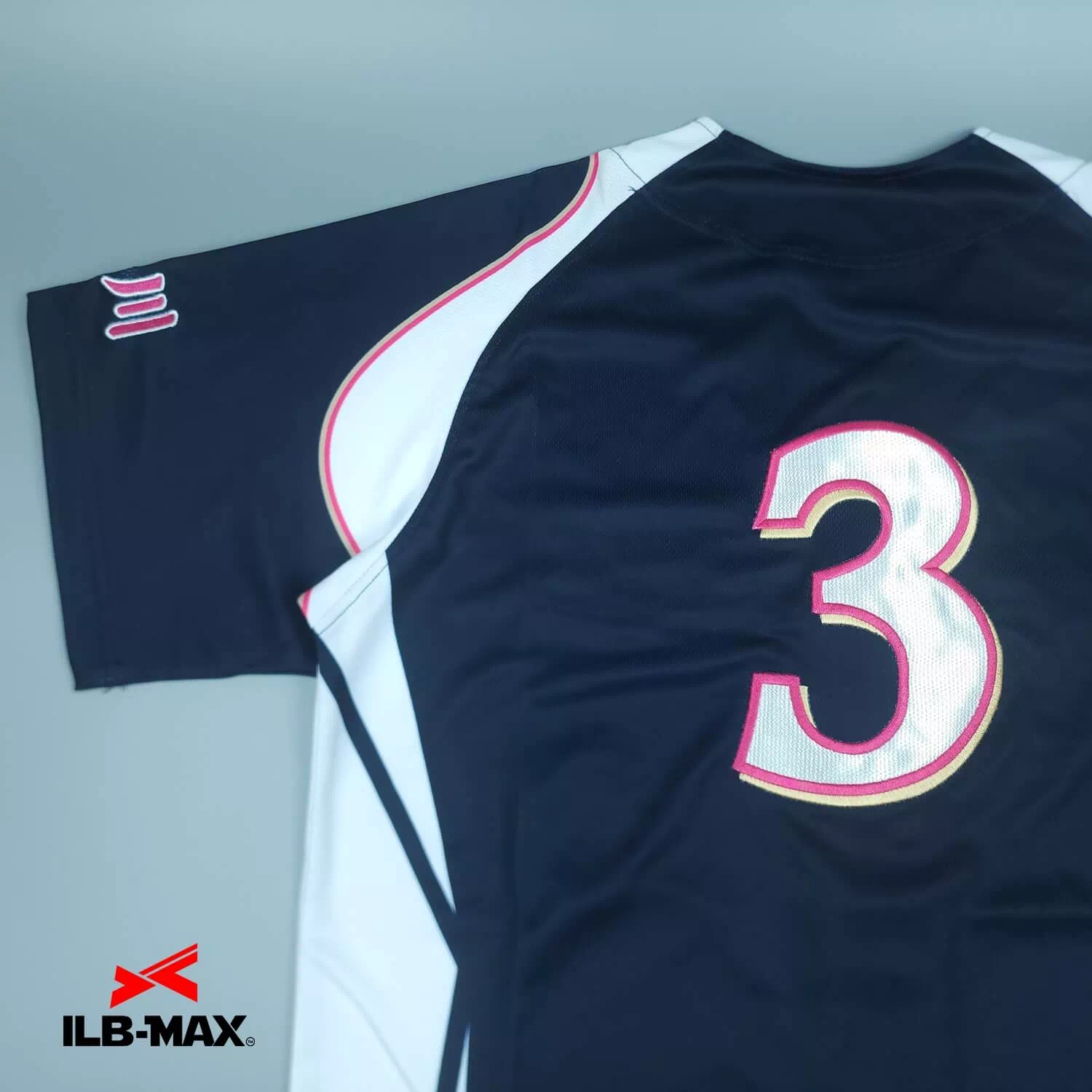 Kagawa3
