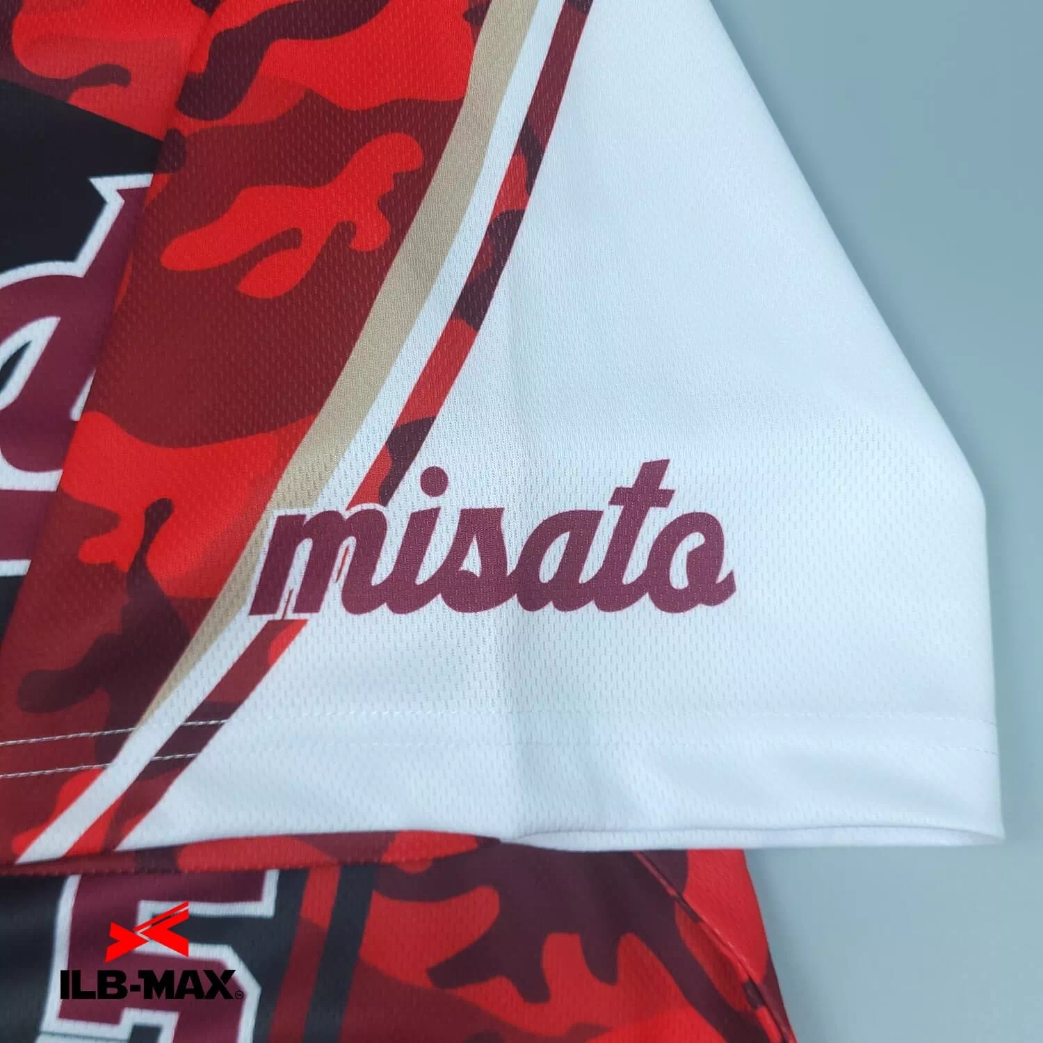 misato Waseda2