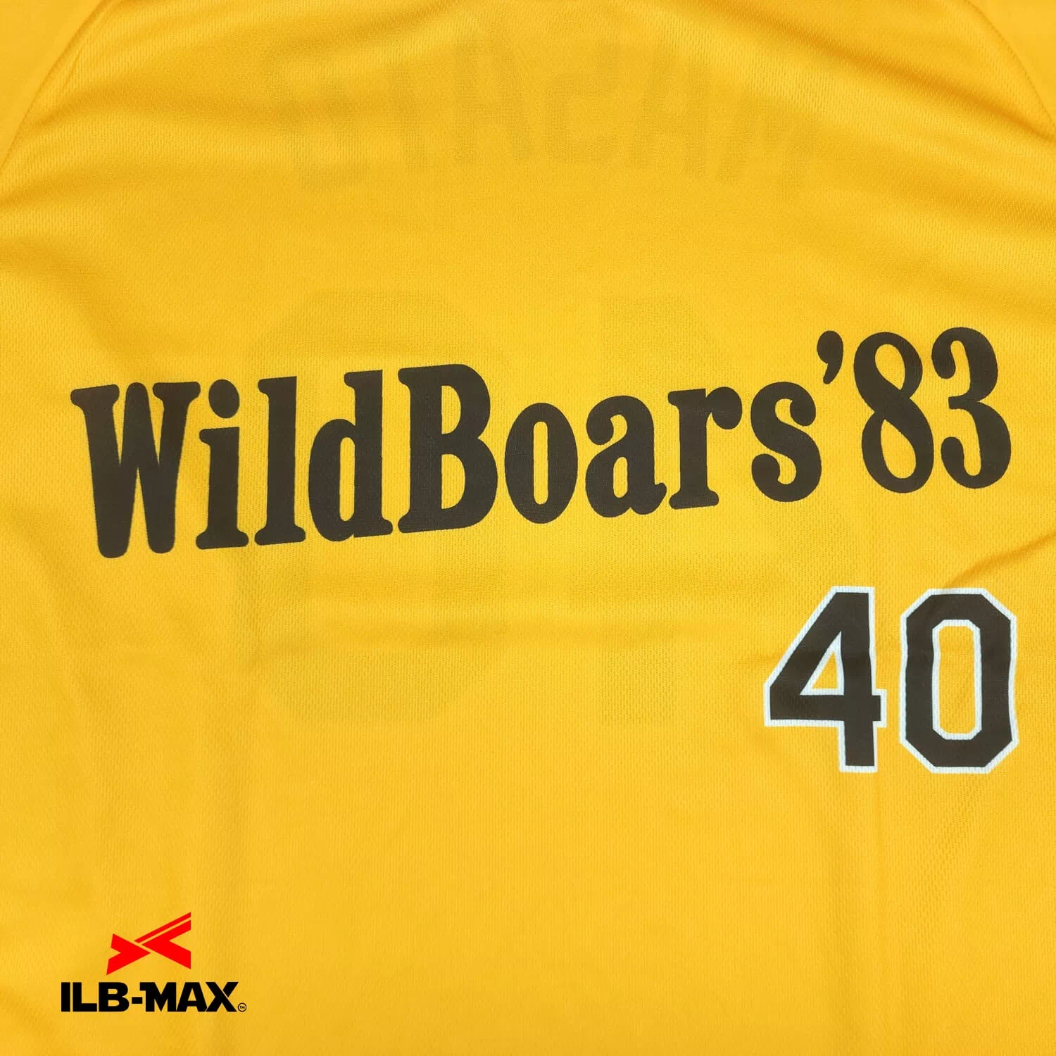 Hachioji Wild Boars_ST1