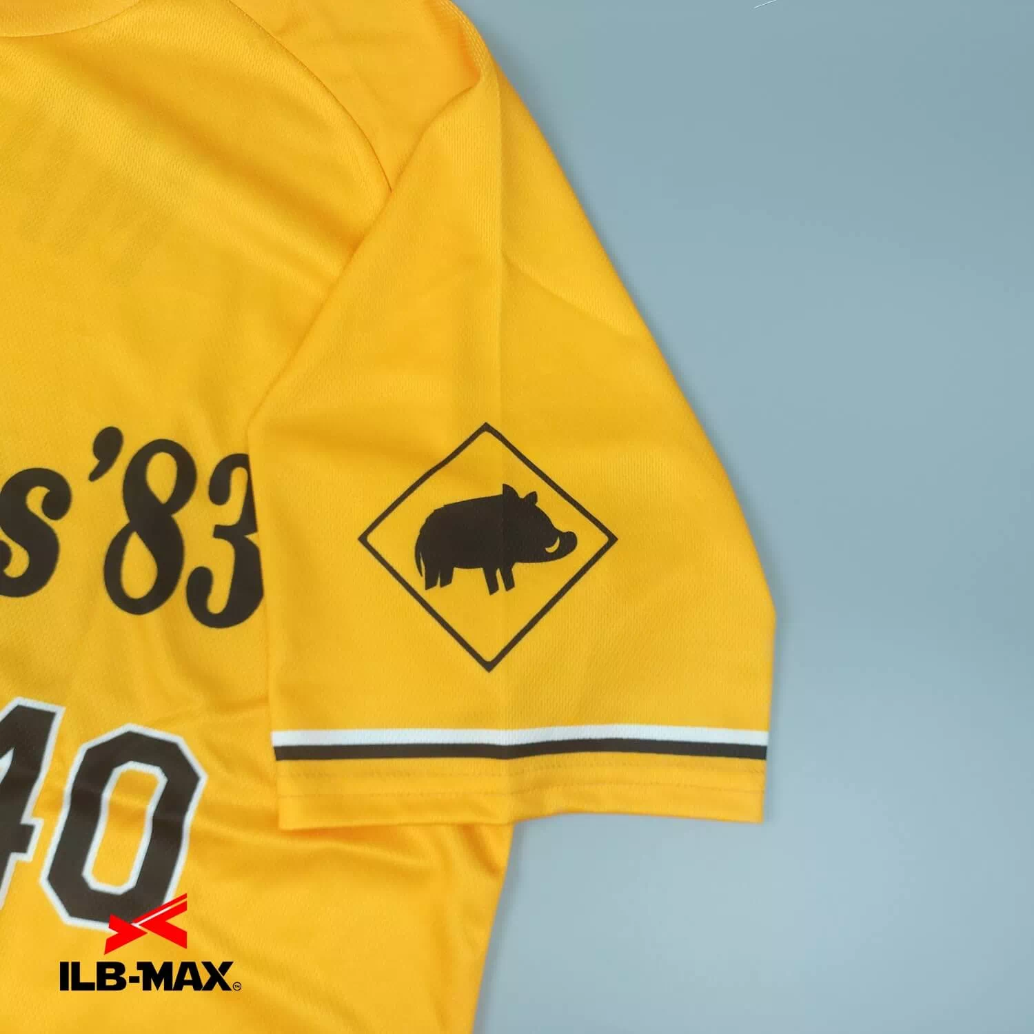 Hachioji Wild Boars_ST2