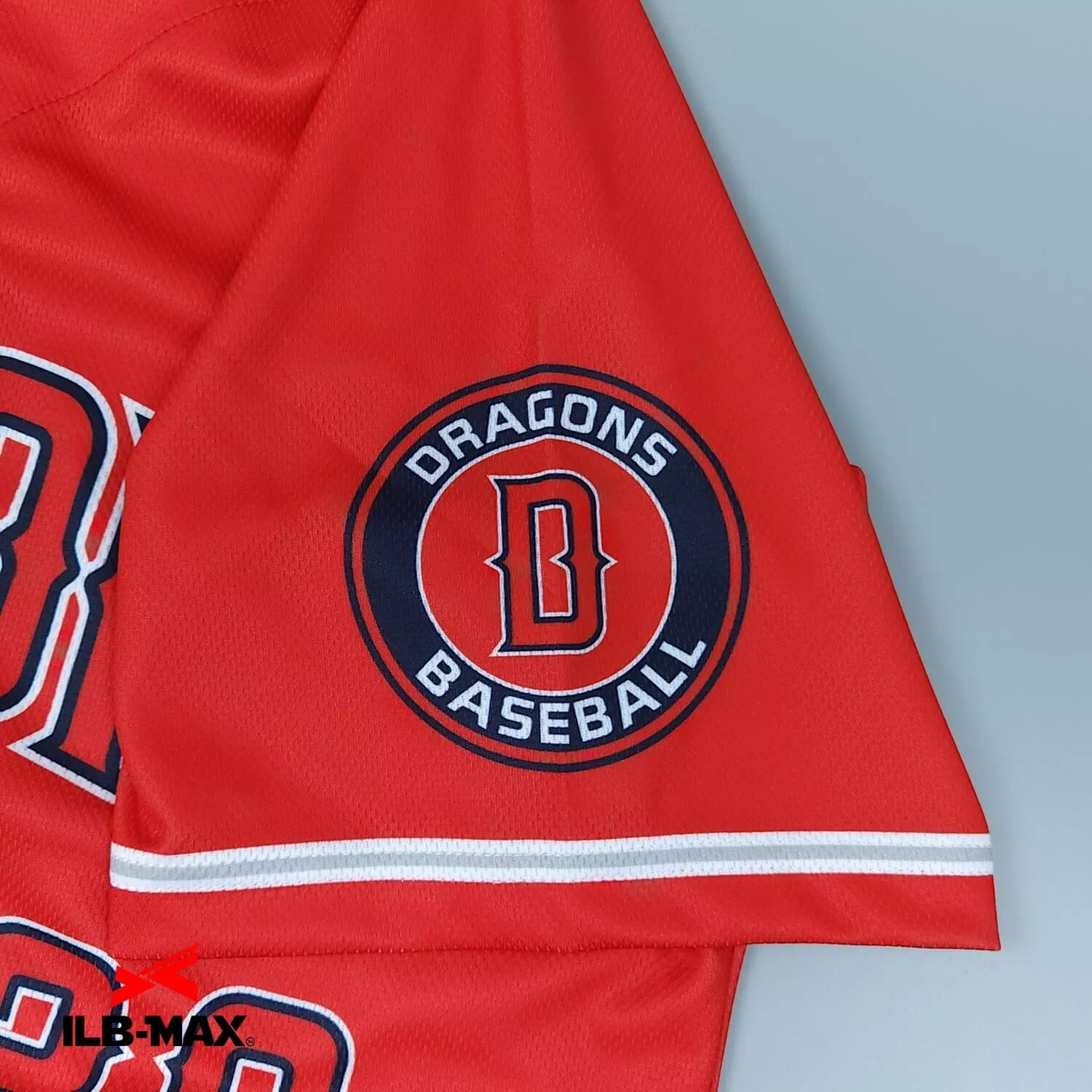 NIIGATA DRAGONS2