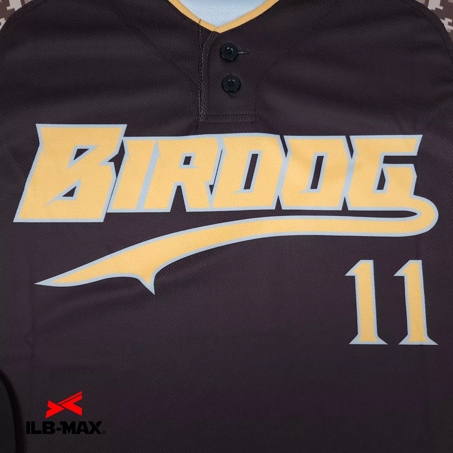 BIRDOG1