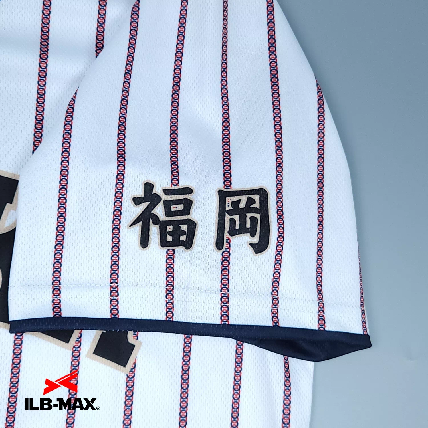 HIRAOKA2