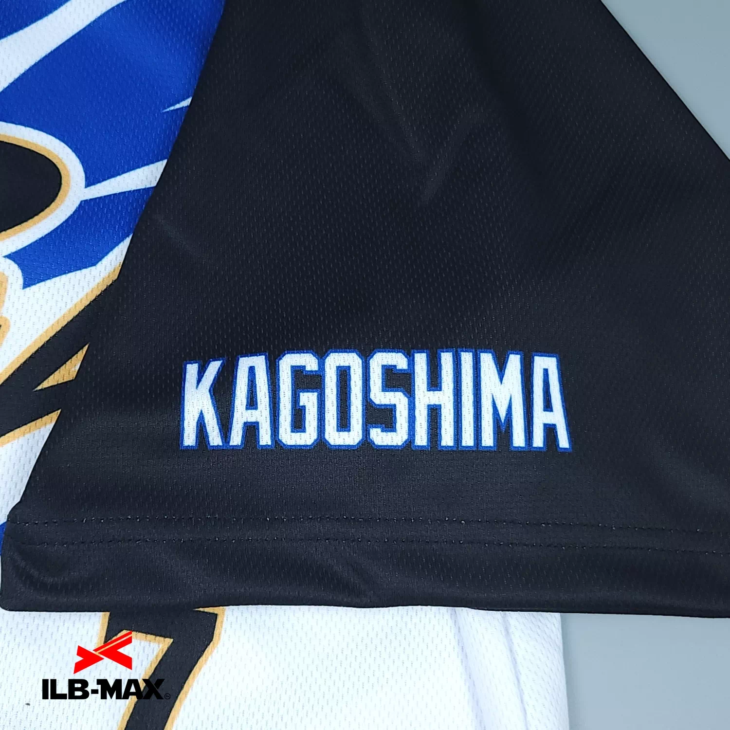 ORCA KAGOSHIMA2