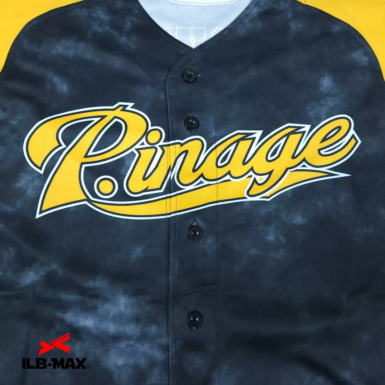 P.inage3