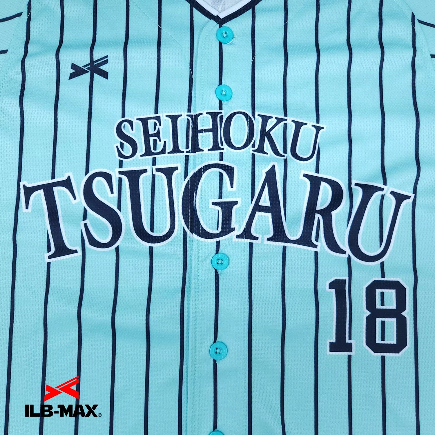 SEIHOKU TSUGARU3