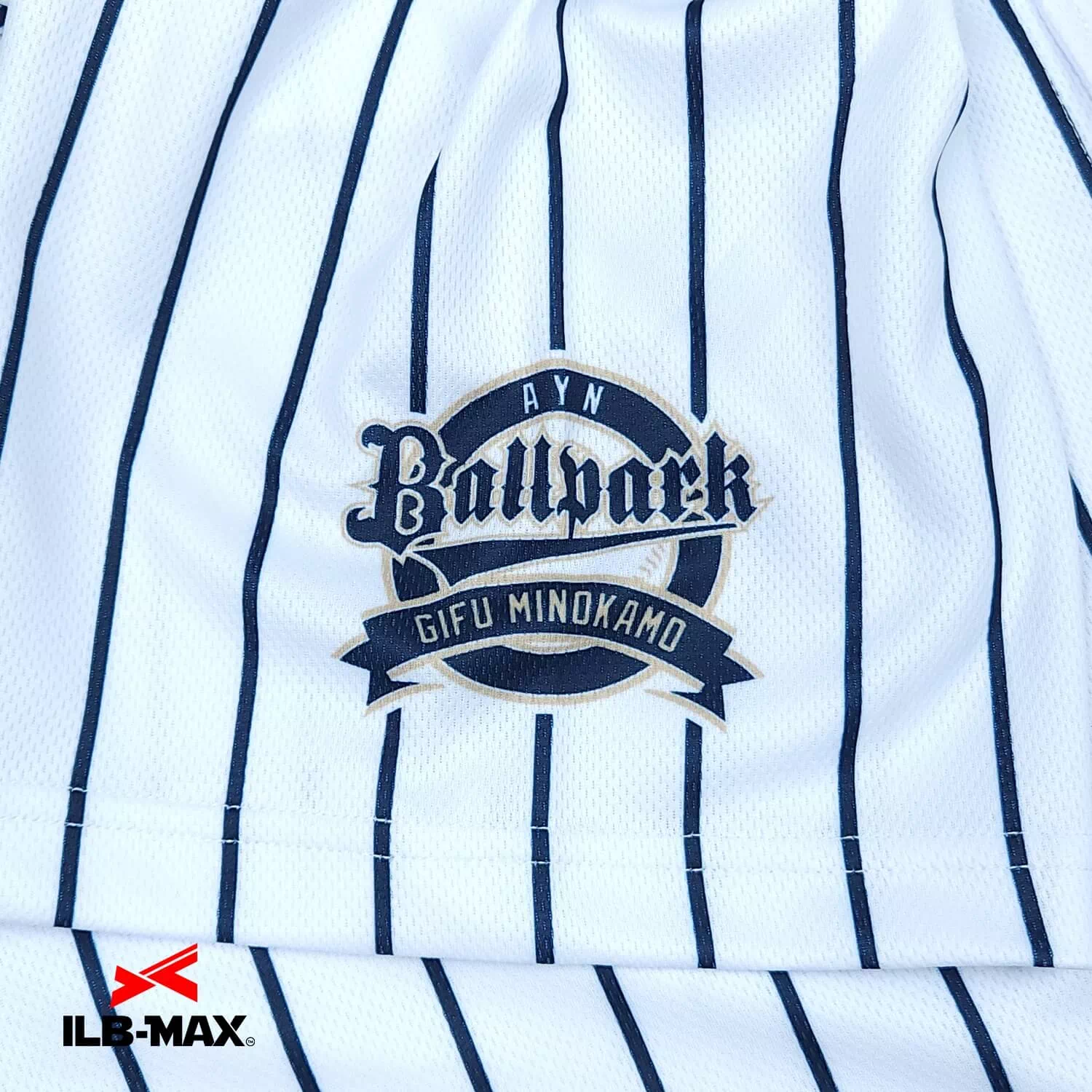 AYN.BALLPARK3