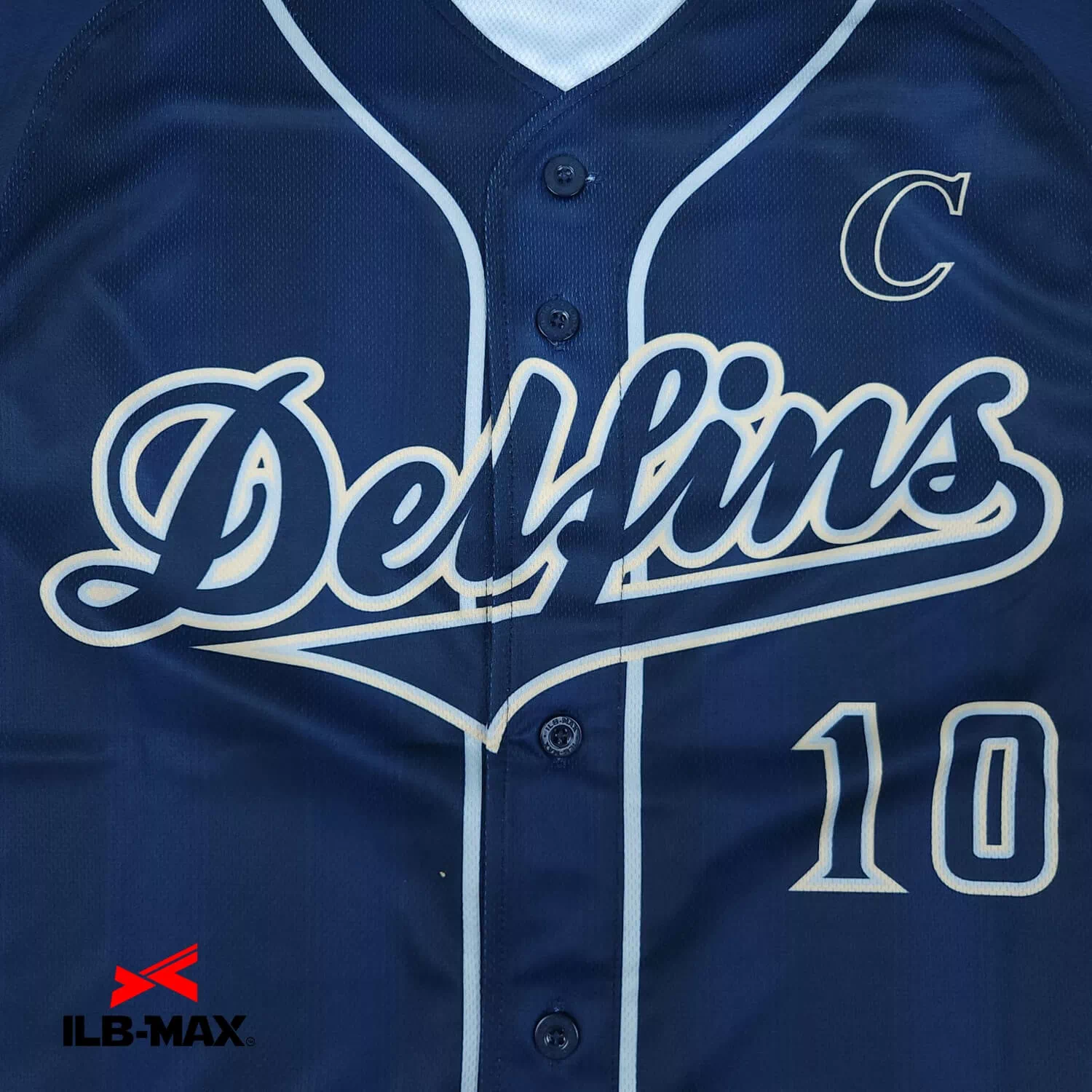 Delfins3