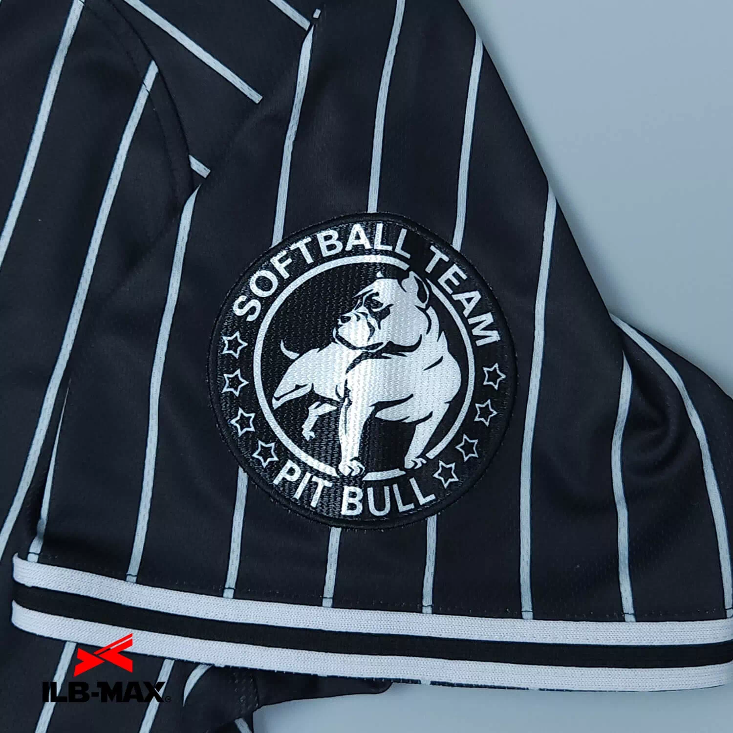 PIT BULL3
