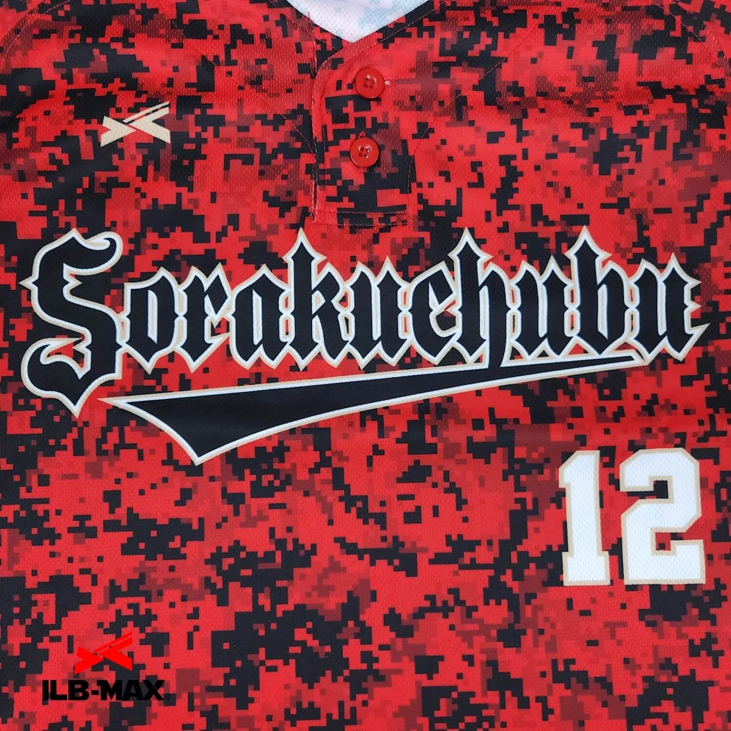 Sorakuchubu1