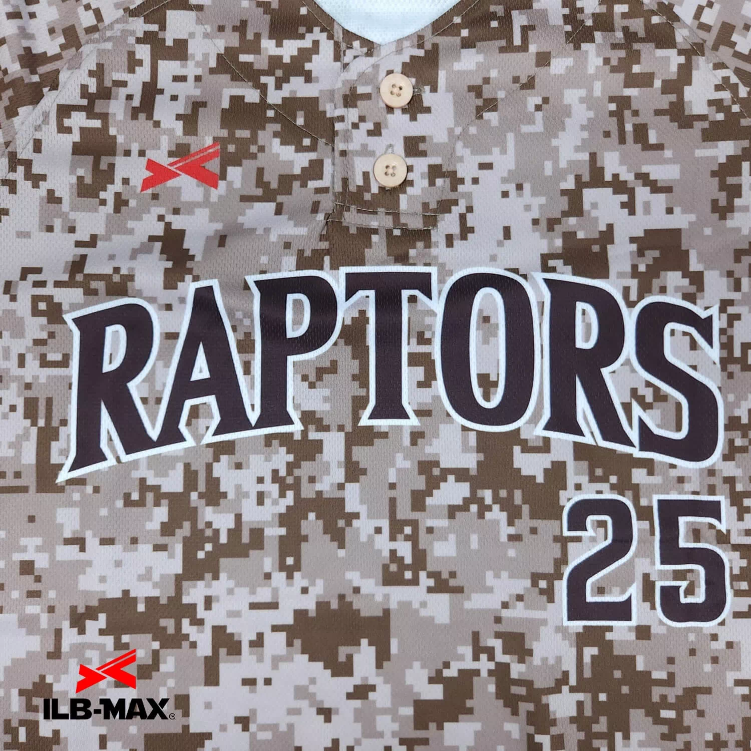 TAKAMATSU RAPTORS3
