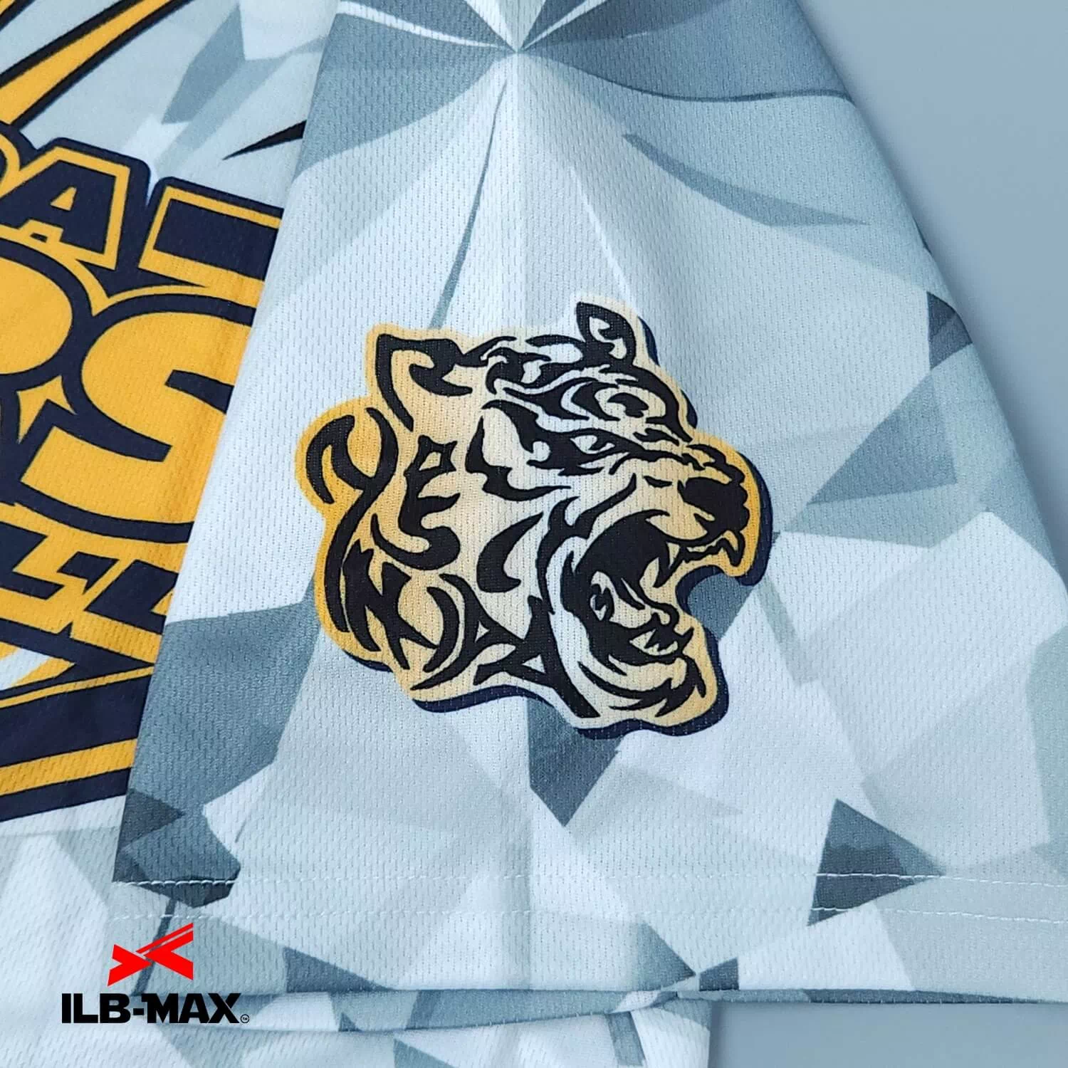 Y Tigers_ST 1st3