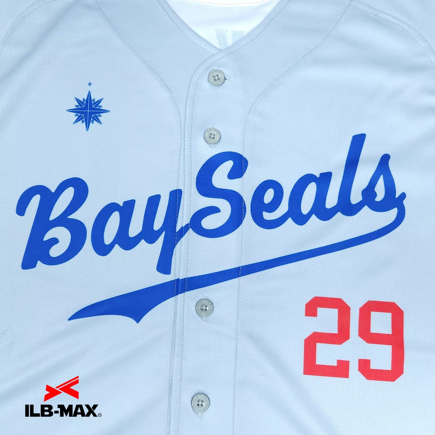 yokohama bayseals1