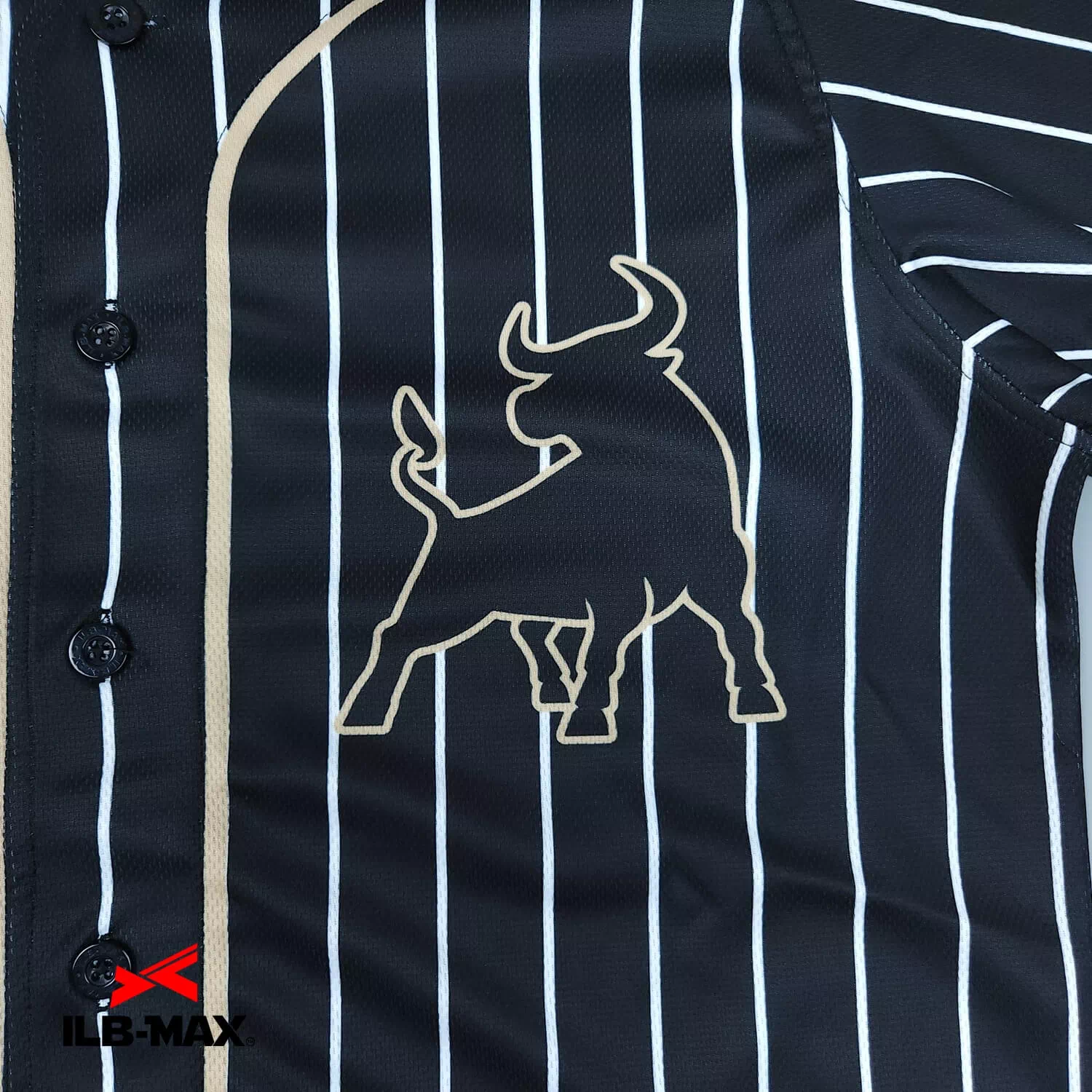 Black Bisons1