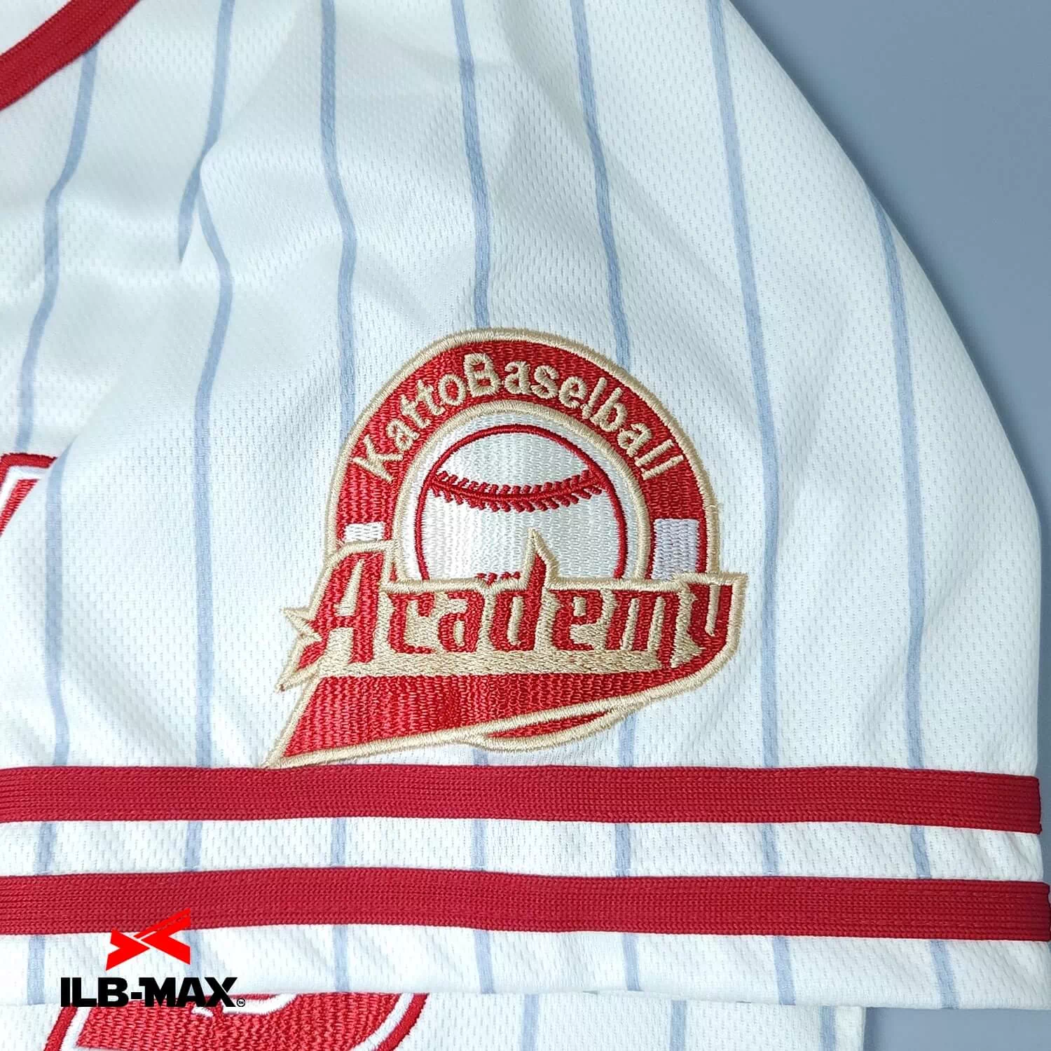 KattoBaseBall Academy2