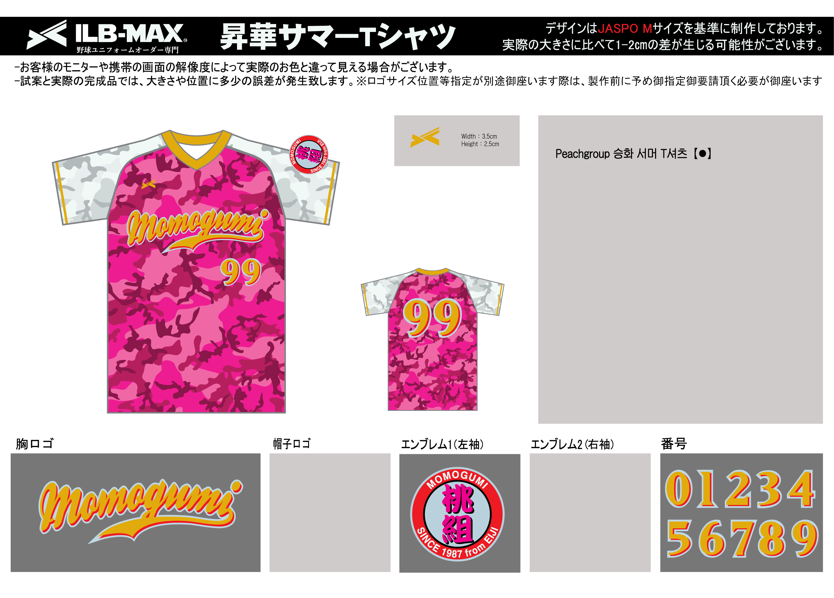 240129_Peachgroup_ユニフォーム追加/昇華サマーTシャツ新規見積書