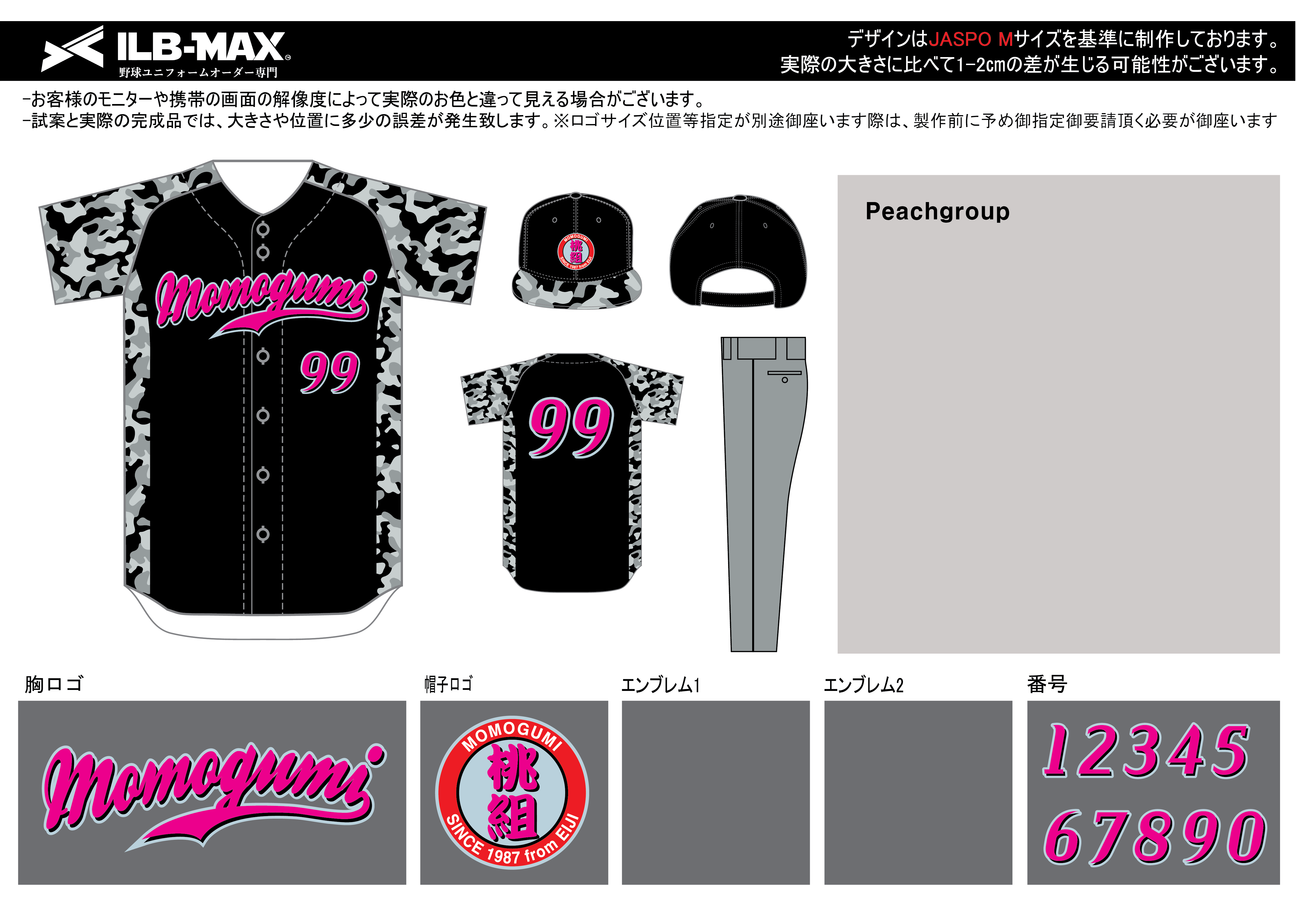 240129_Peachgroup_ユニフォーム追加/昇華サマーTシャツ新規見積書