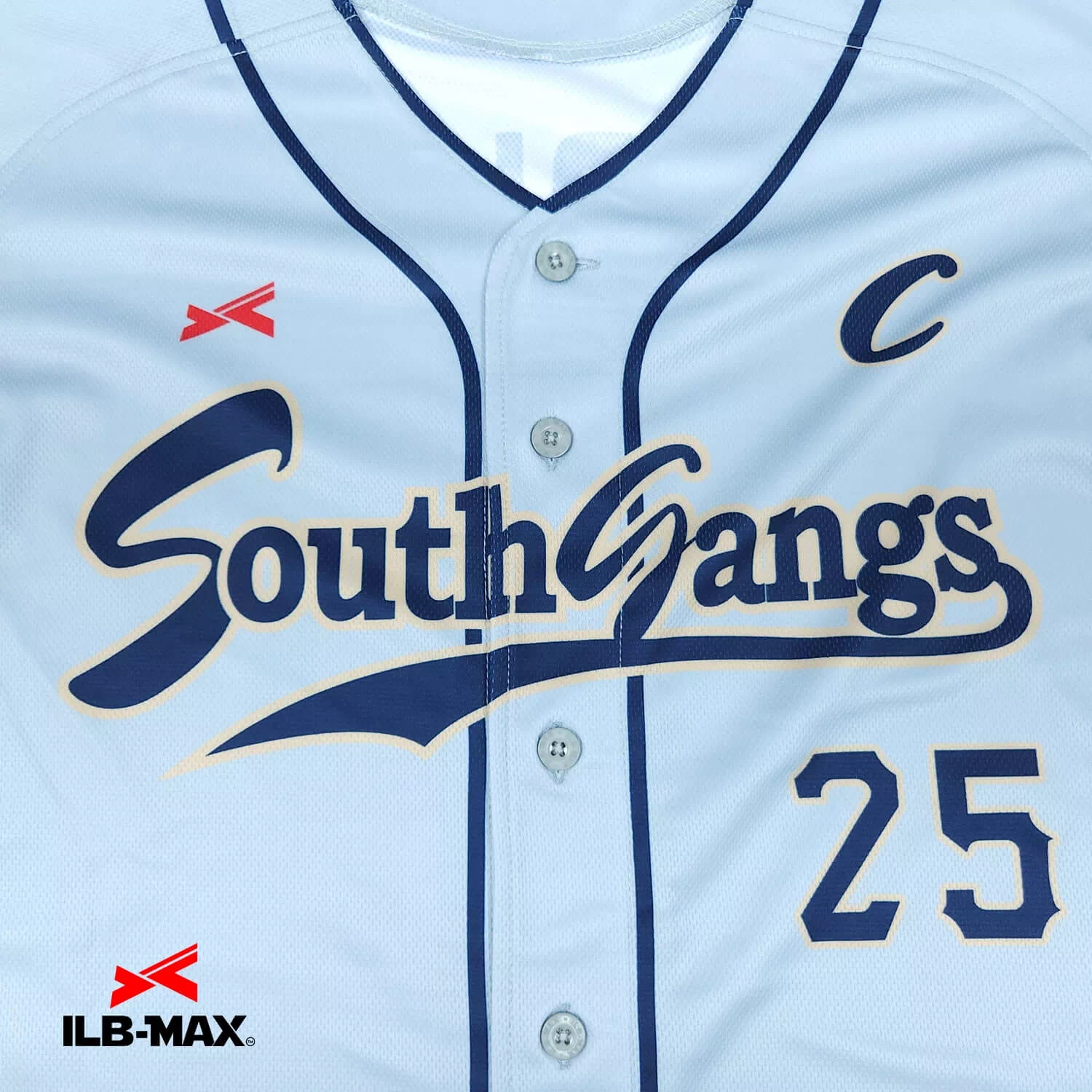 South gang1