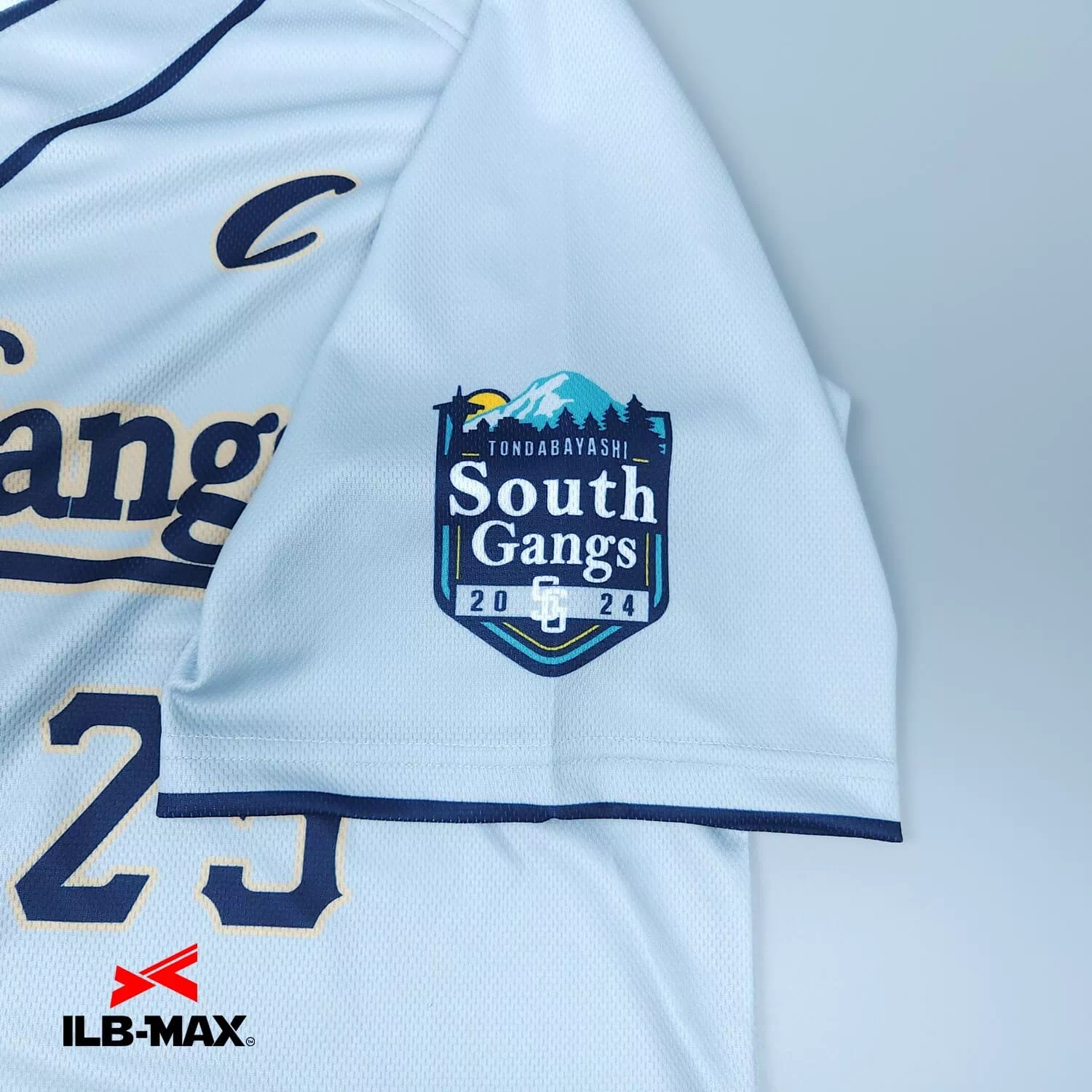 South gang2