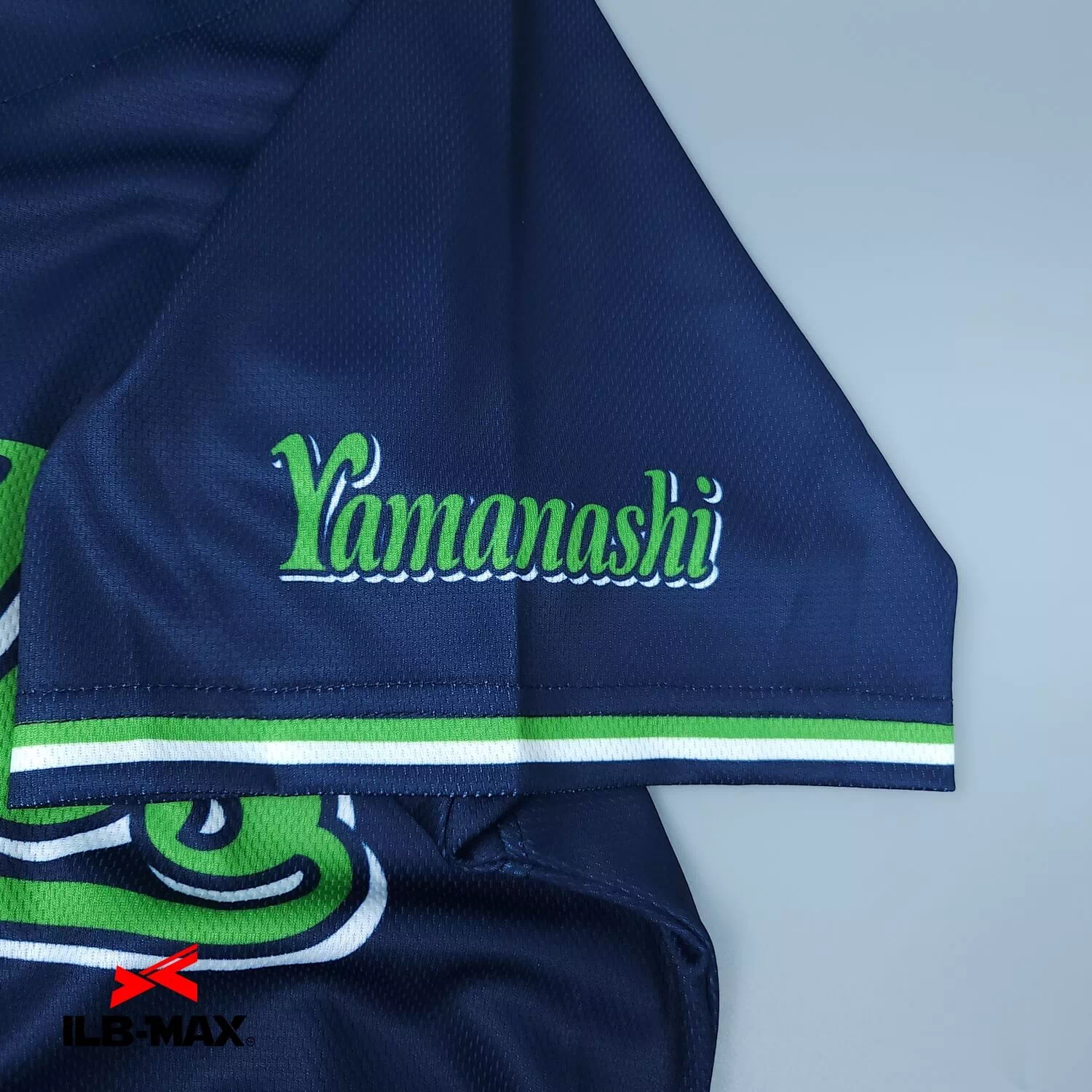 Yamanashi Eagles3