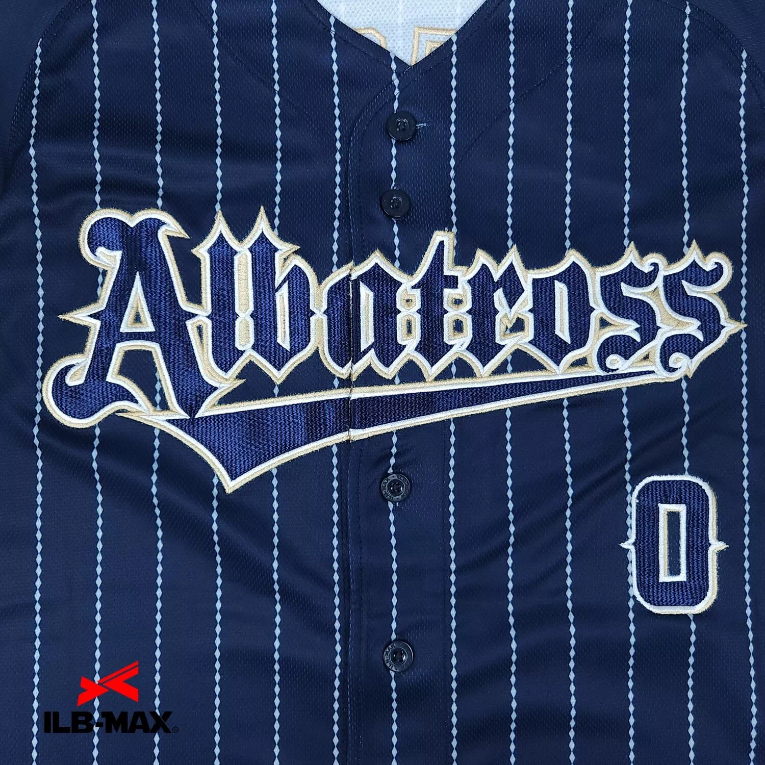 AOYAMA Albatross1