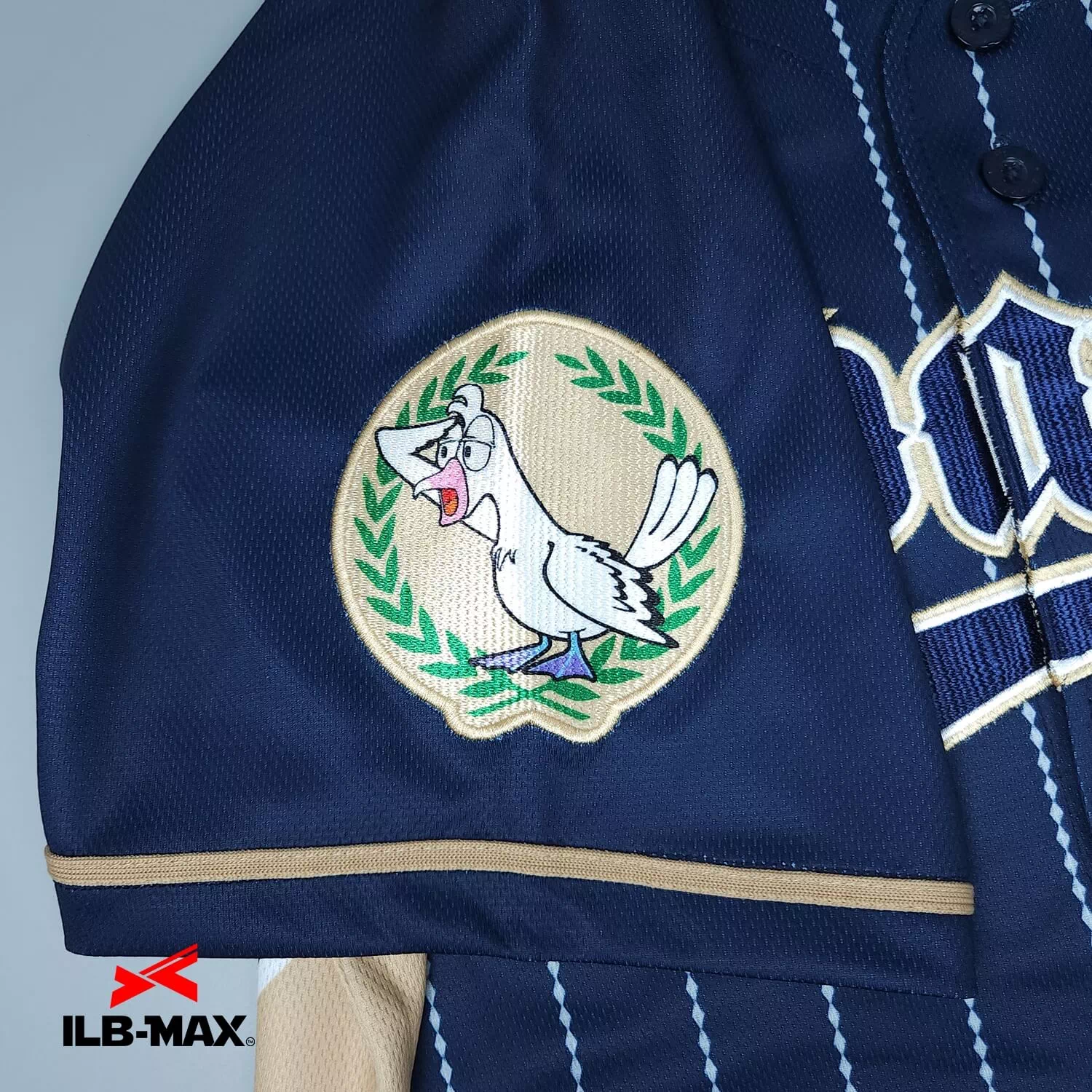 AOYAMA Albatross2