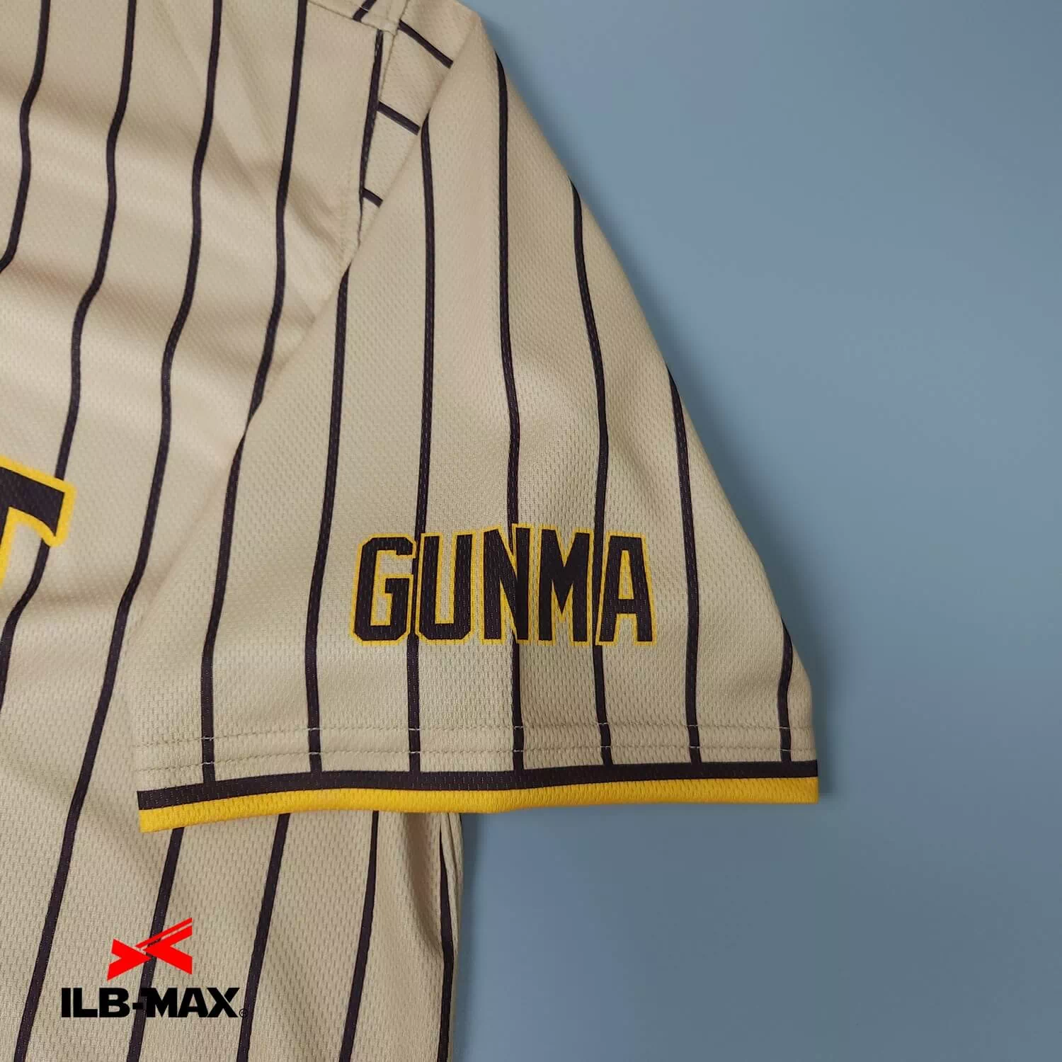 GUNMA DELIGHT2