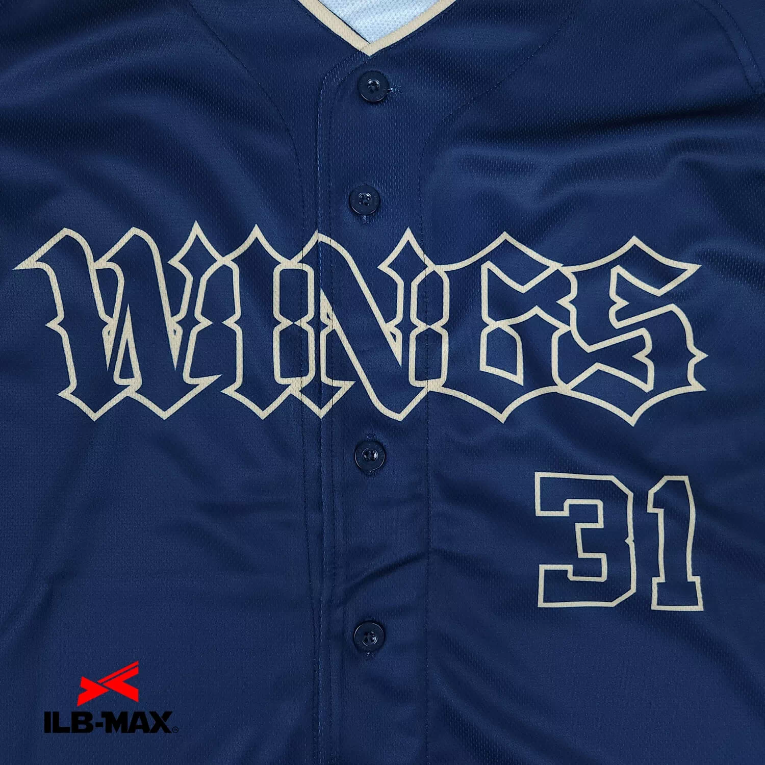 HYOGO Wings3