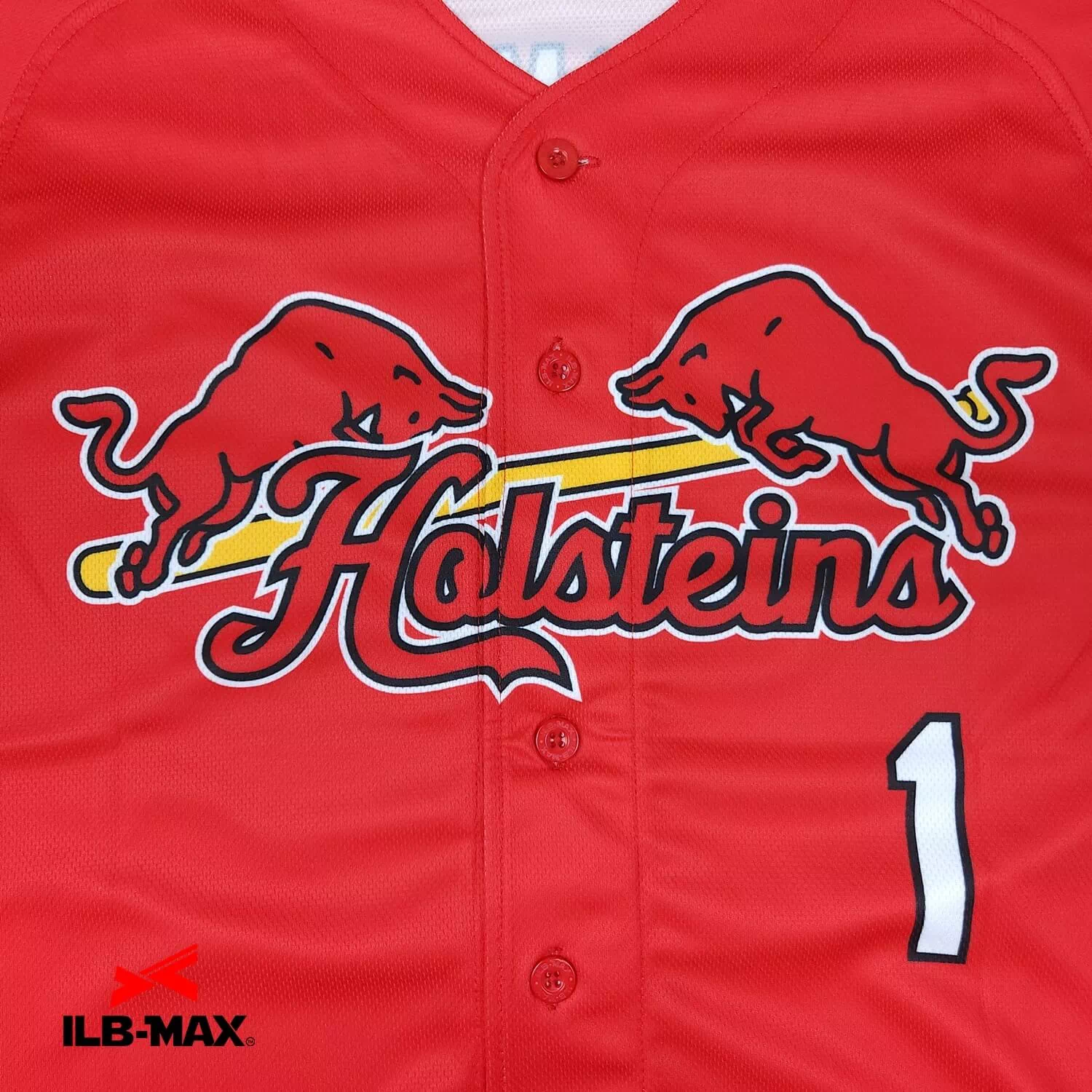 Holsteins6