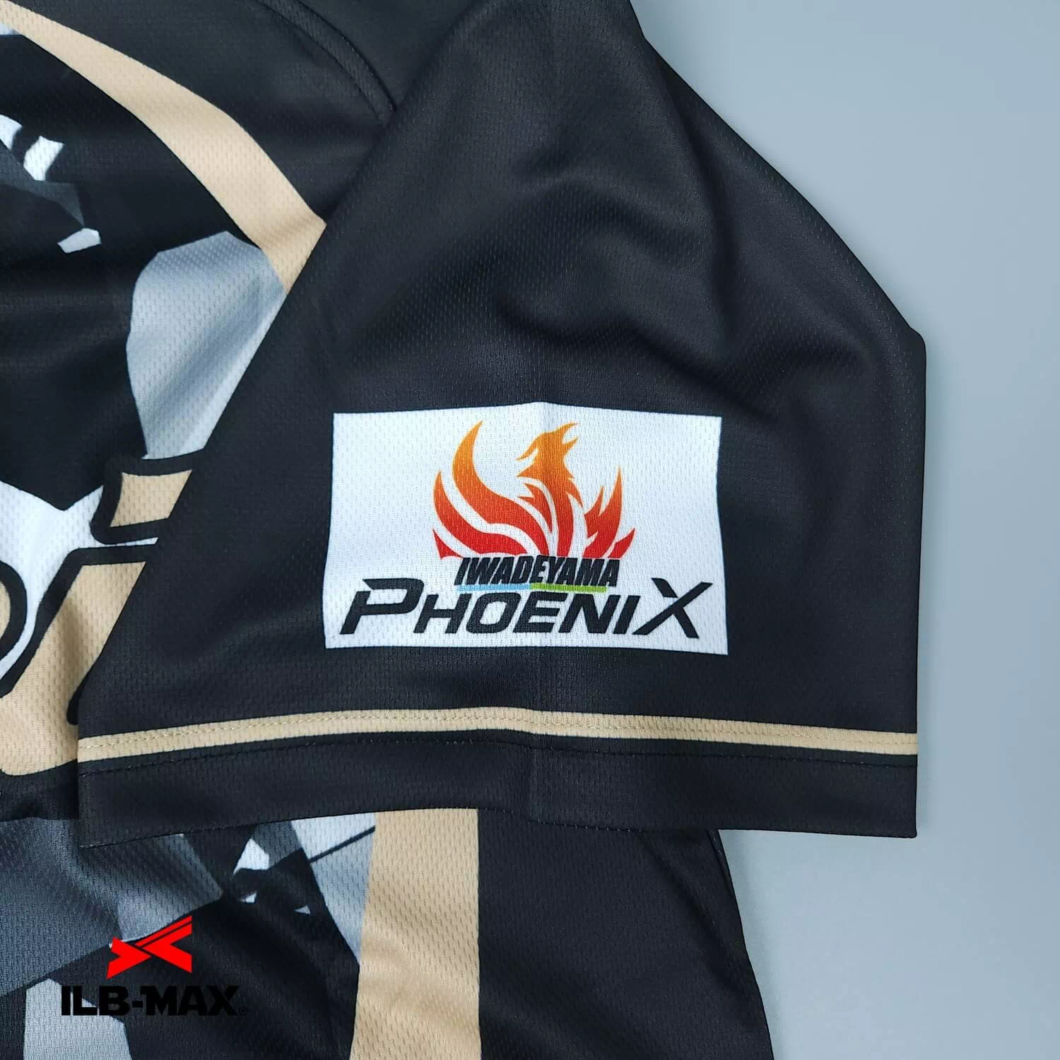 IWADEYAMA PHOENIX2