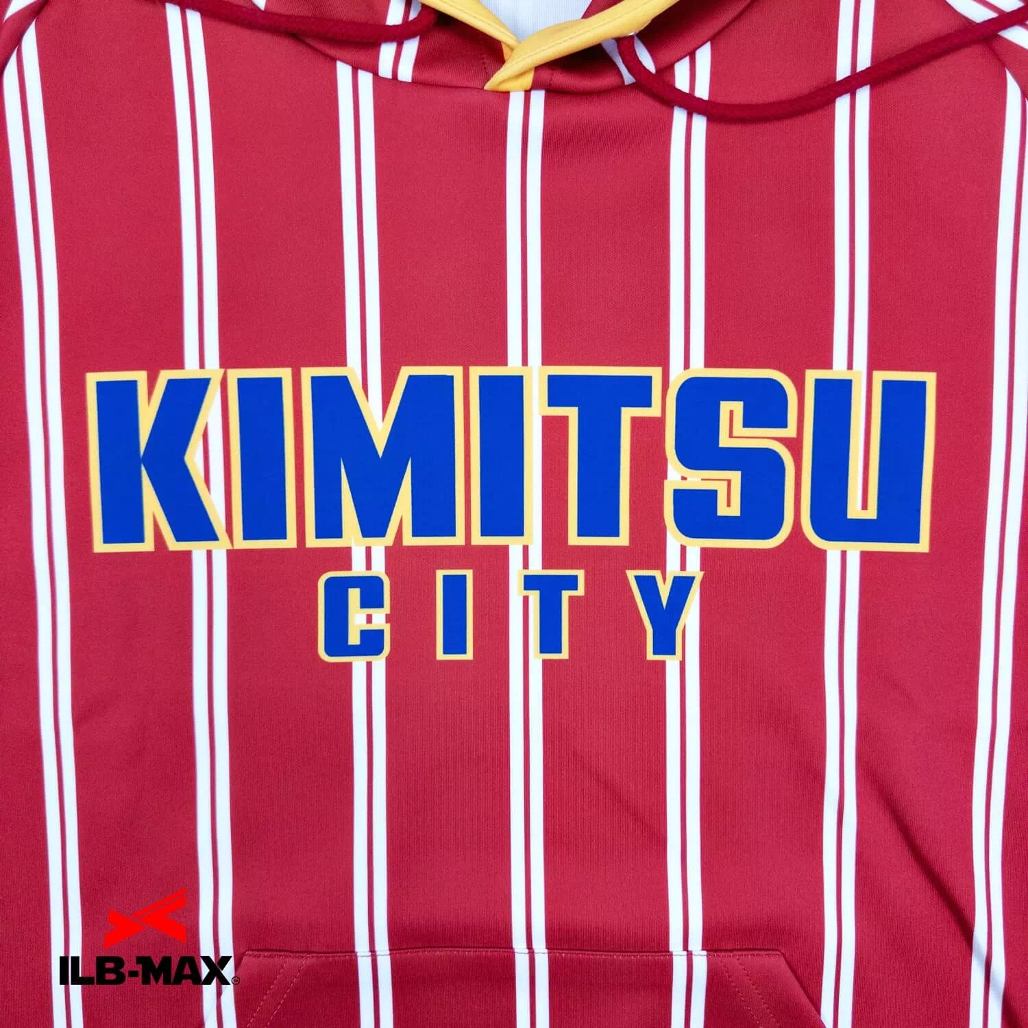 KIMITSU CITY_PV4